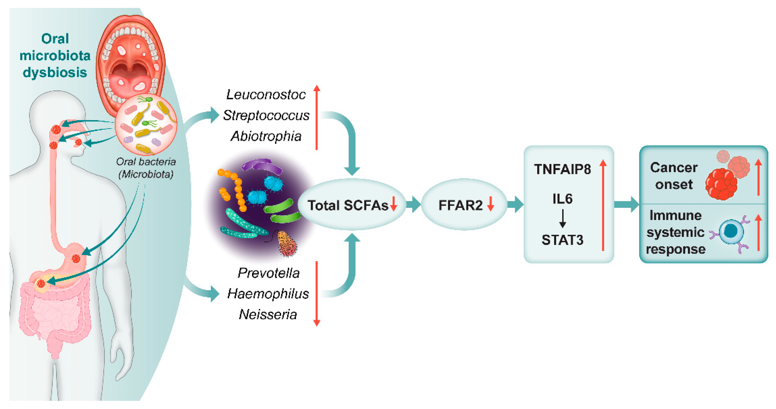 Cancers 15 02898 g004 Cancers 15 02898 g004