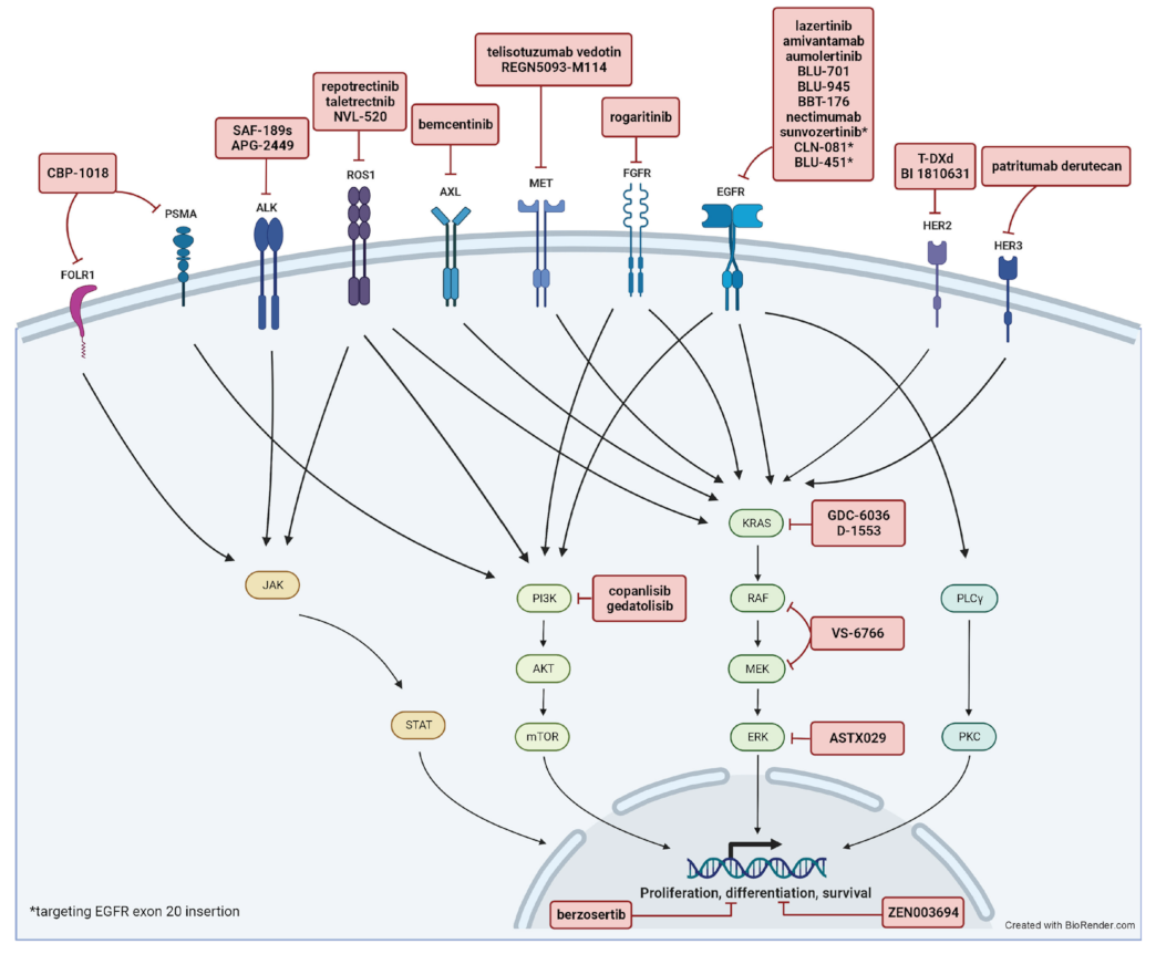 Cancers 15 02899 g001 Cancers 15 02899 g001