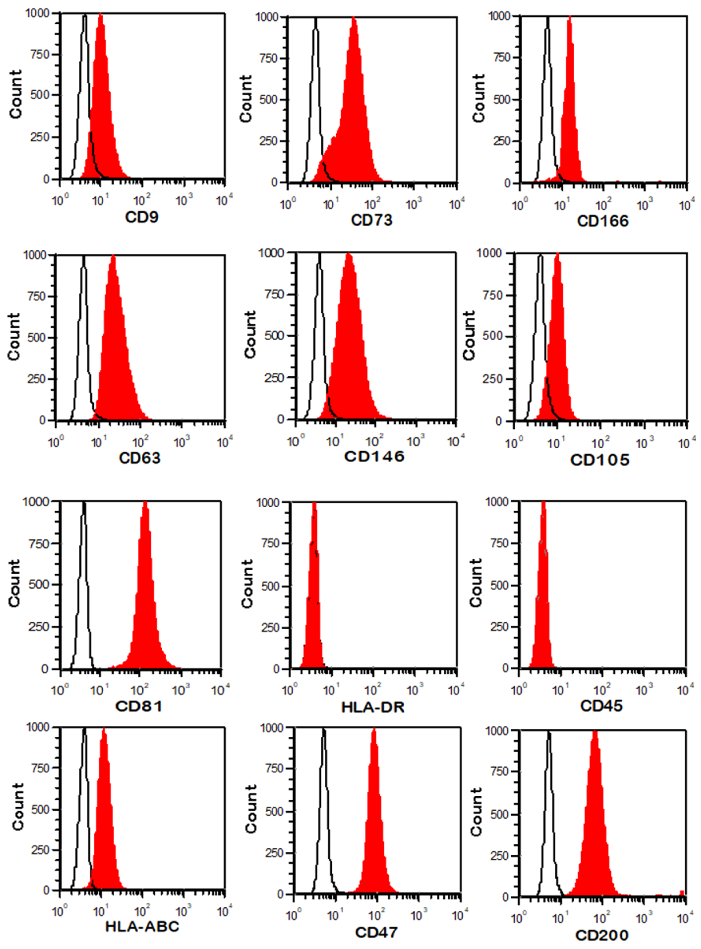 Cancers 15 02901 g002