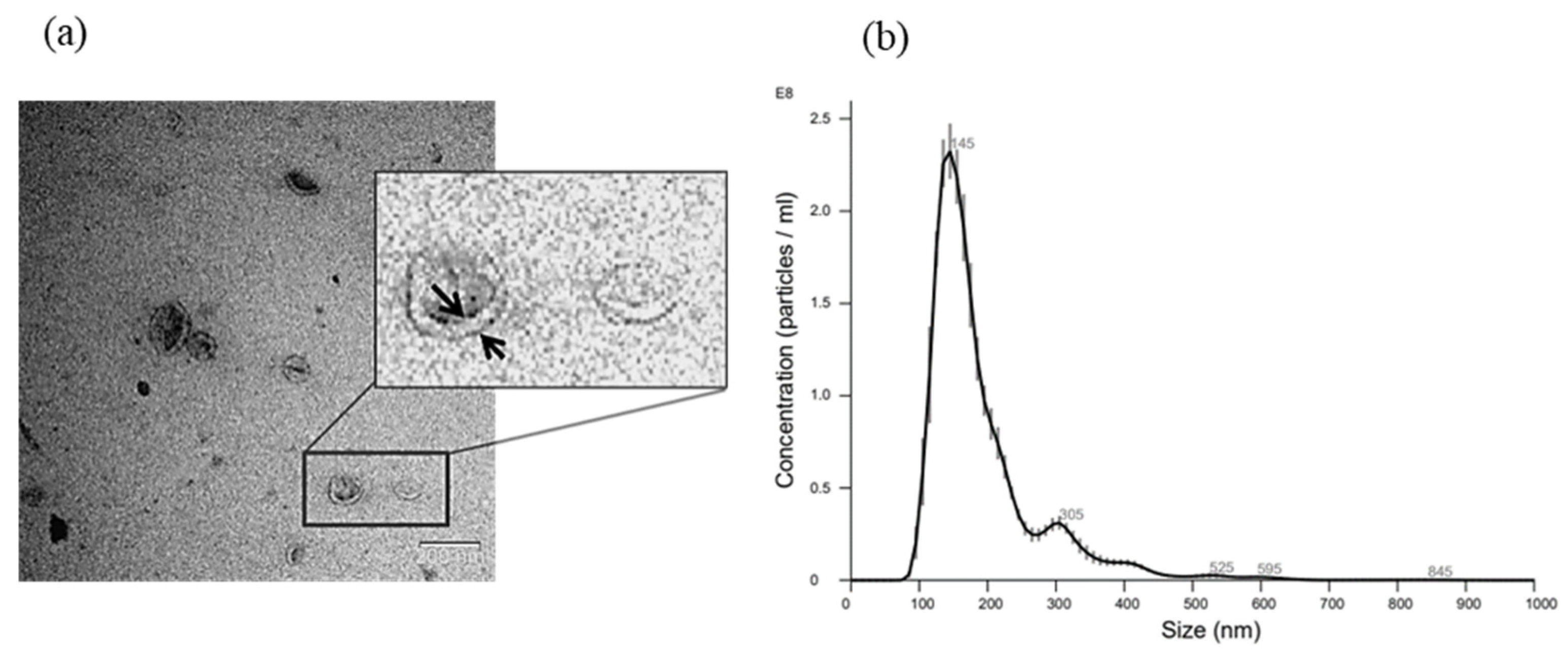 Cancers 15 02901 g003