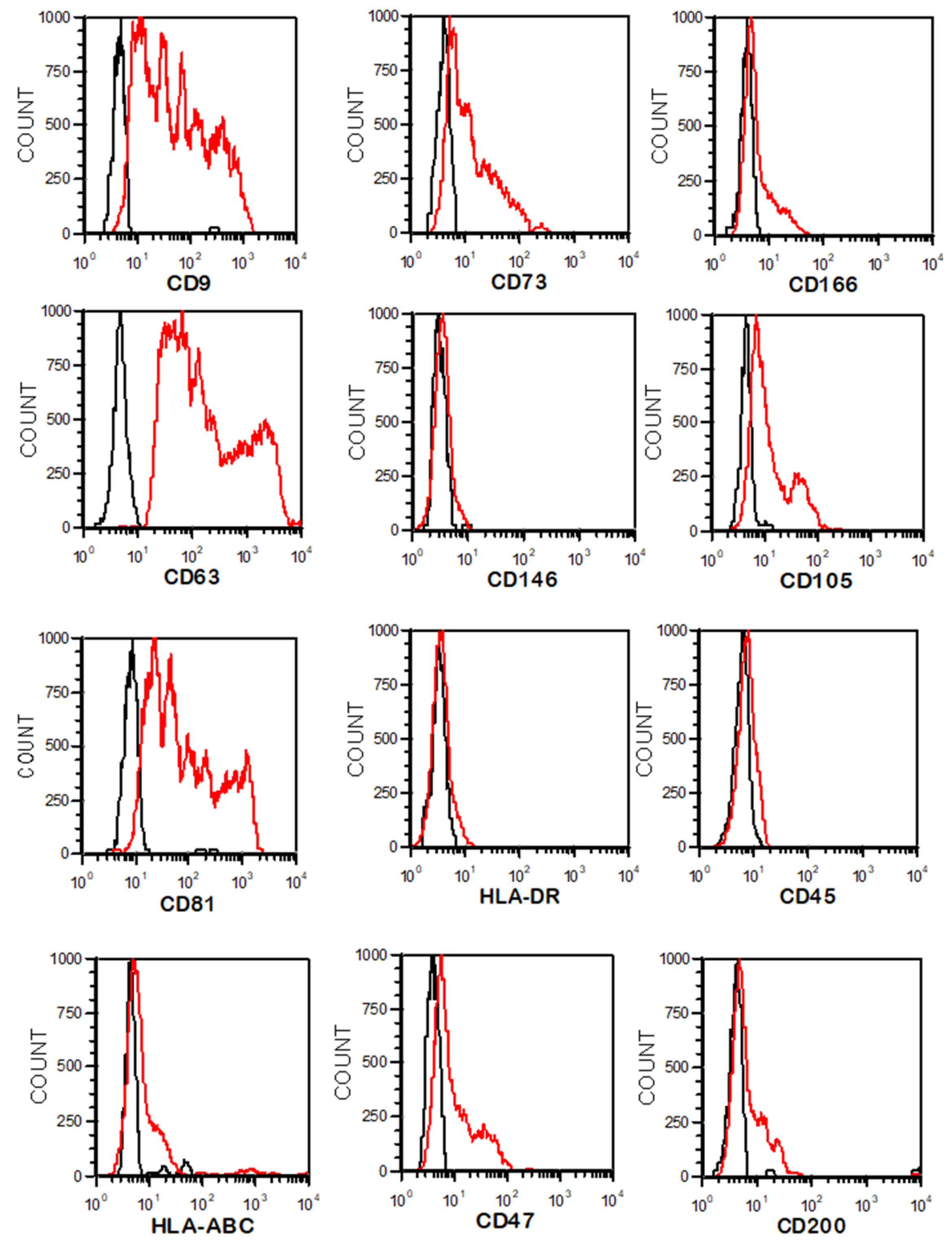 Cancers 15 02901 g004