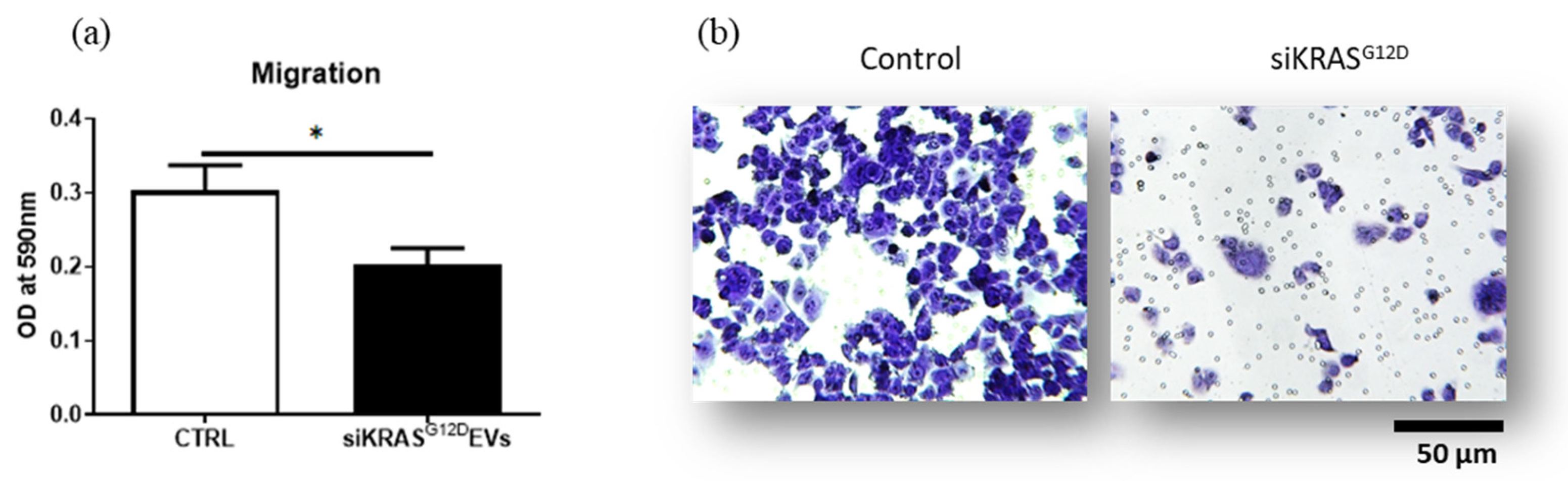 Cancers 15 02901 g009