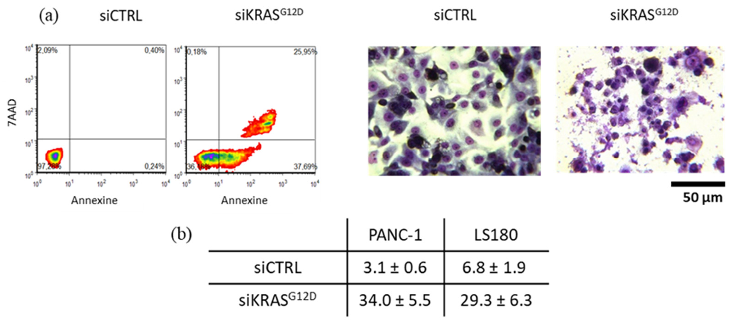 Cancers 15 02901 g011