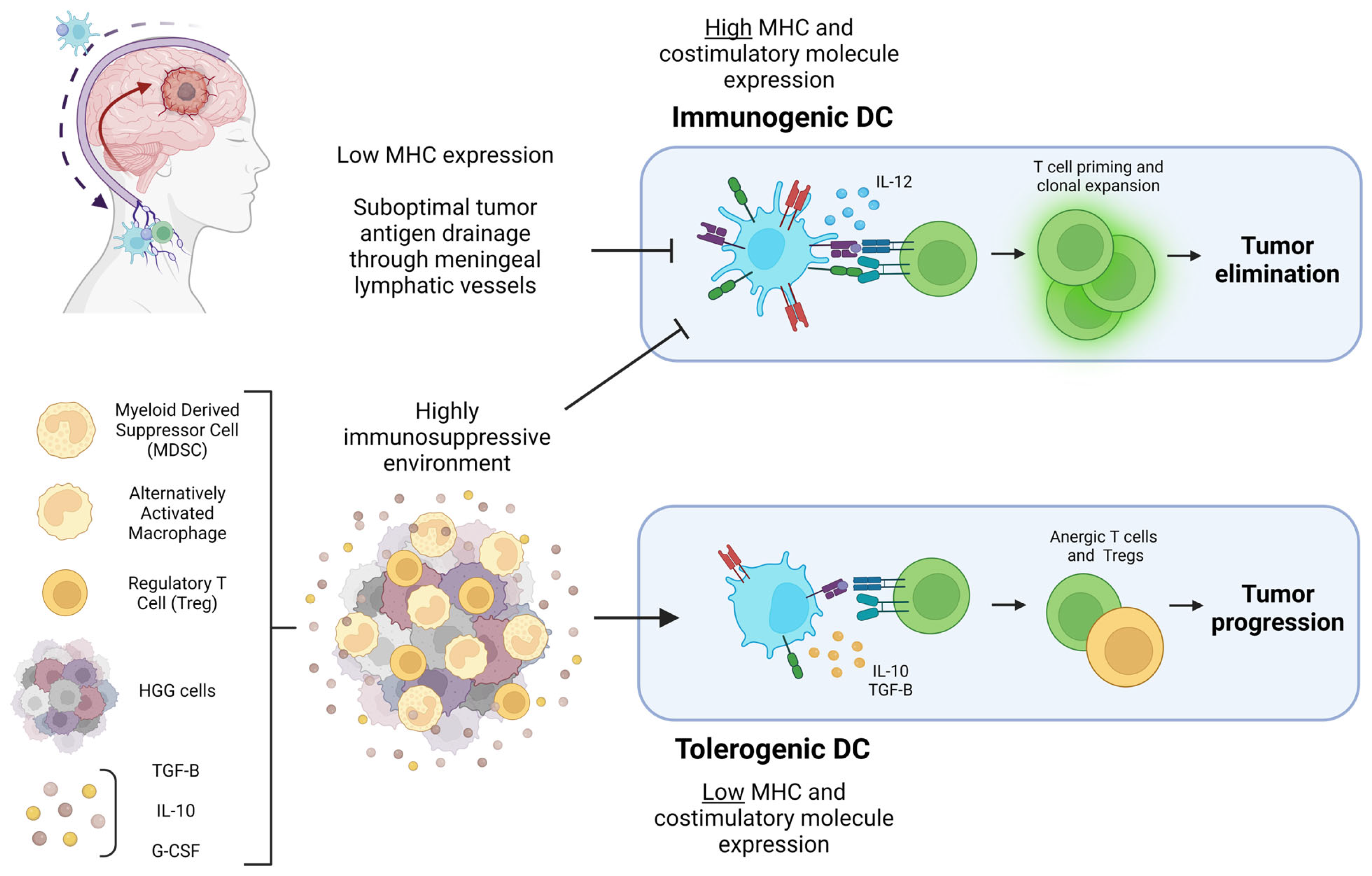Cancers 15 02902 g001