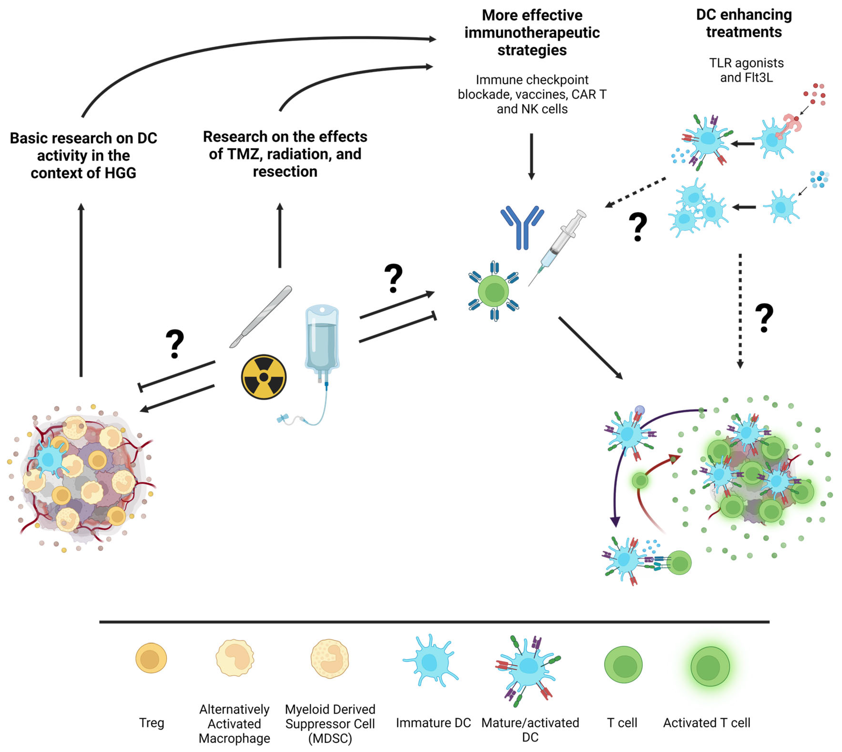 Cancers 15 02902 g002