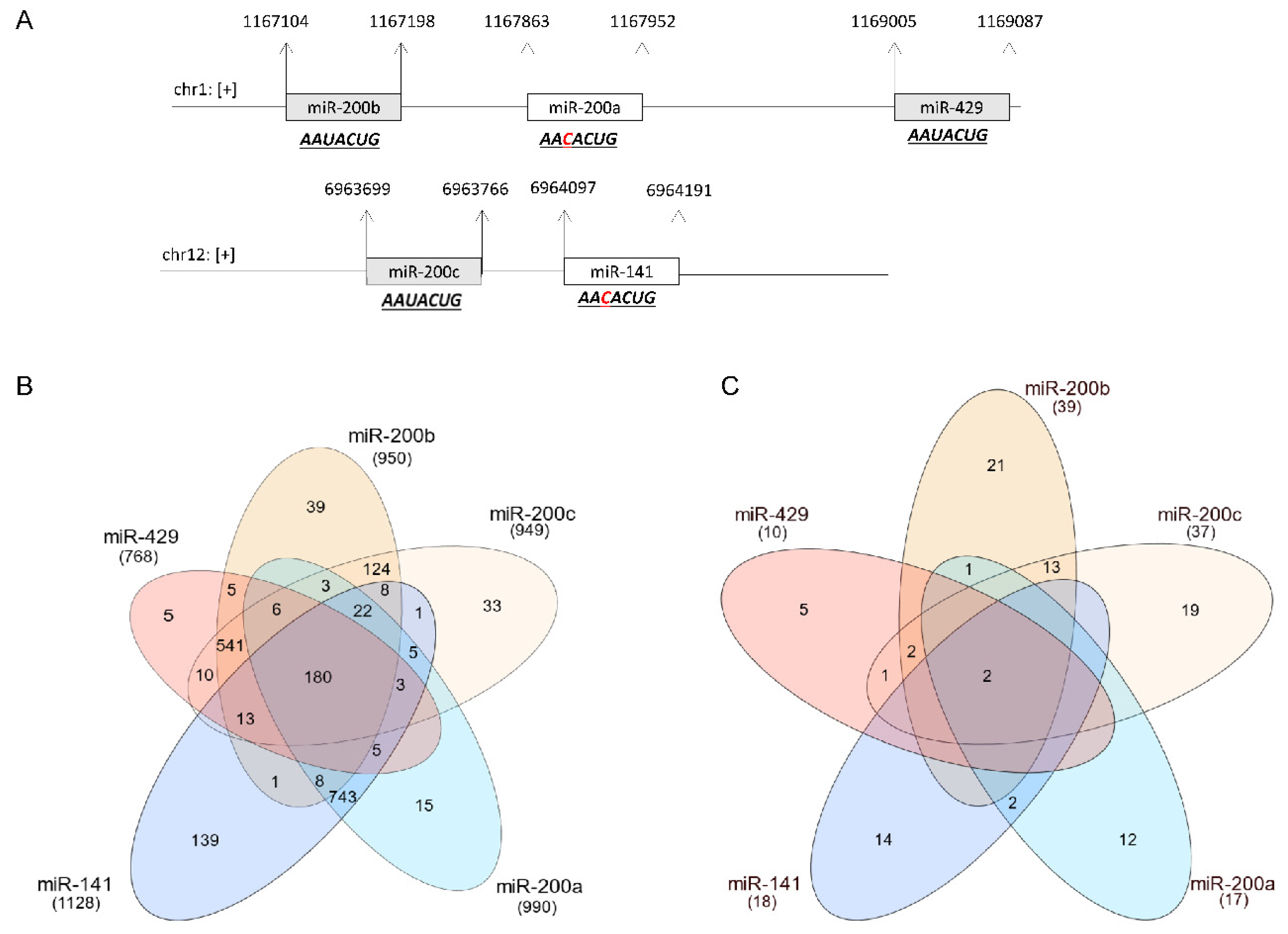Cancers 15 02903 g001 Cancers 15 02903 g001