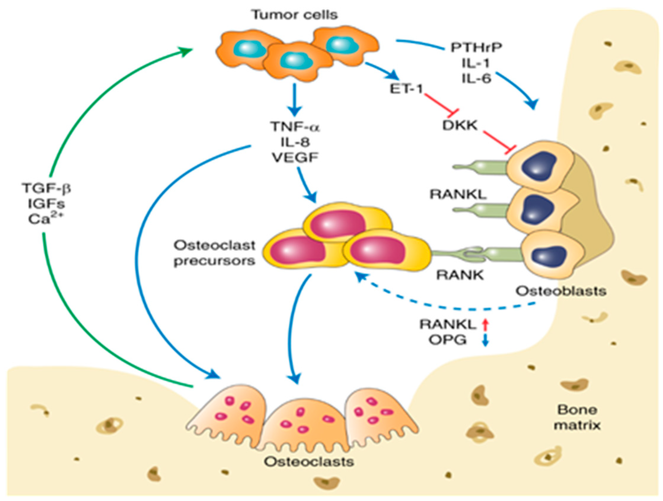Cancers 15 02906 g001 Cancers 15 02906 g001