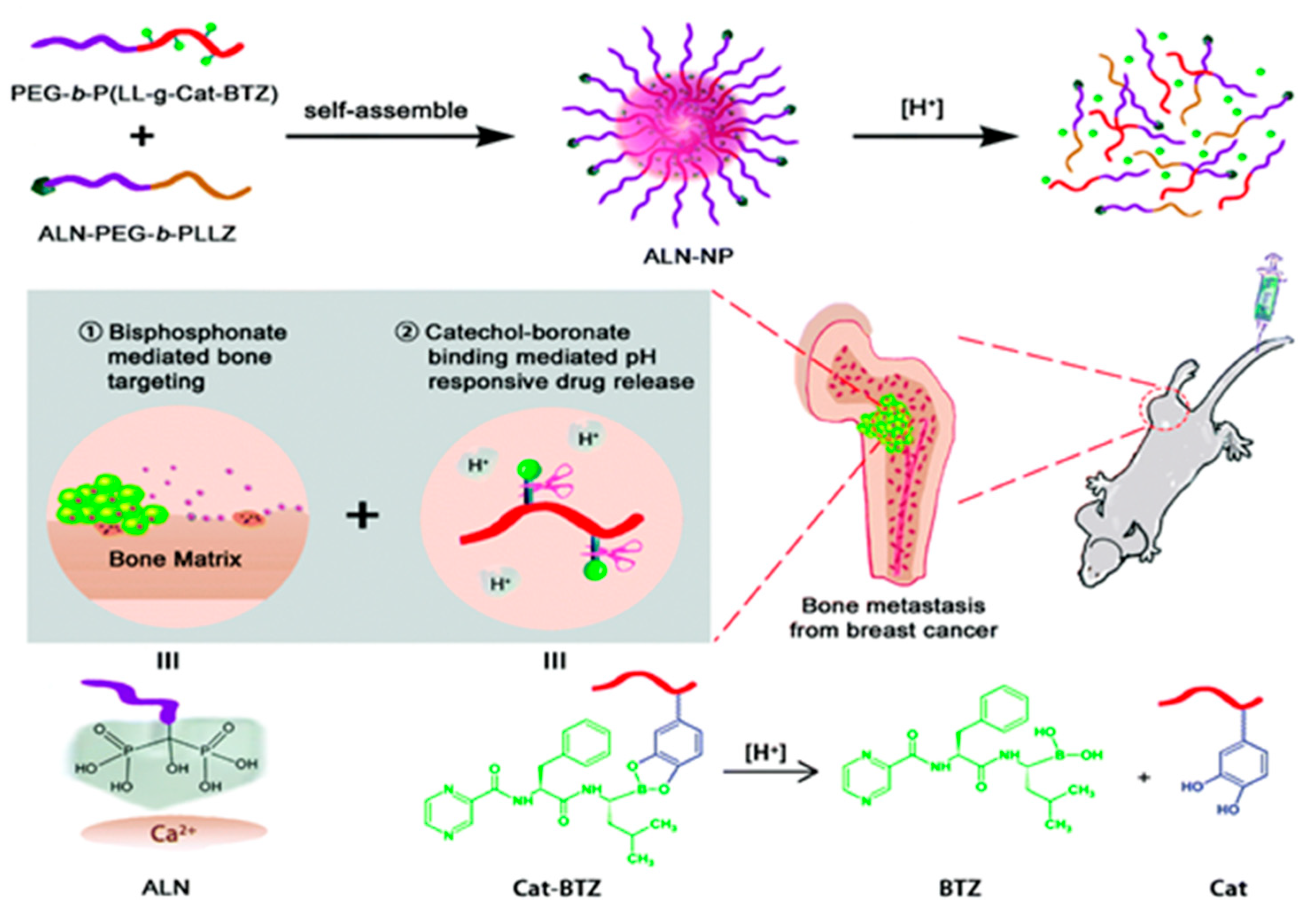 Cancers 15 02906 g002 Cancers 15 02906 g002