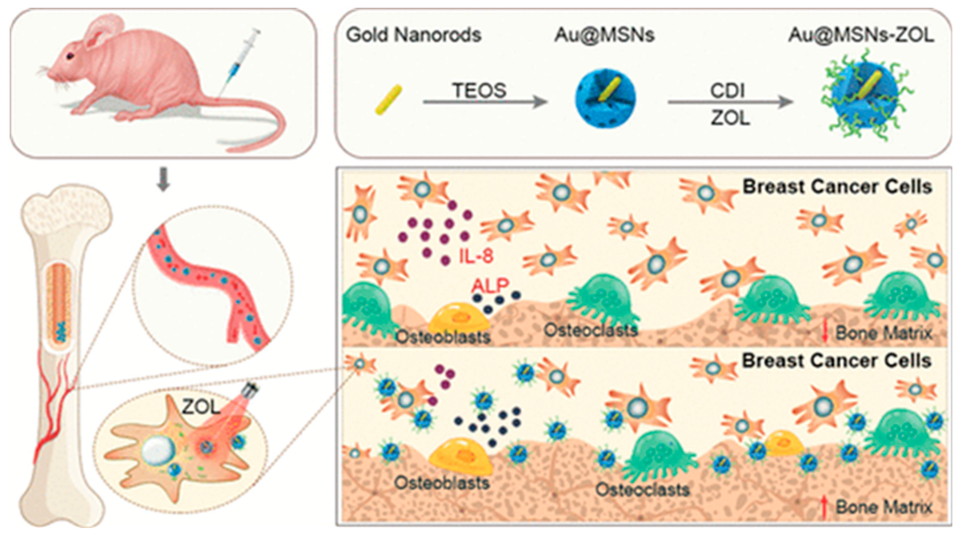Cancers 15 02906 g003 Cancers 15 02906 g003