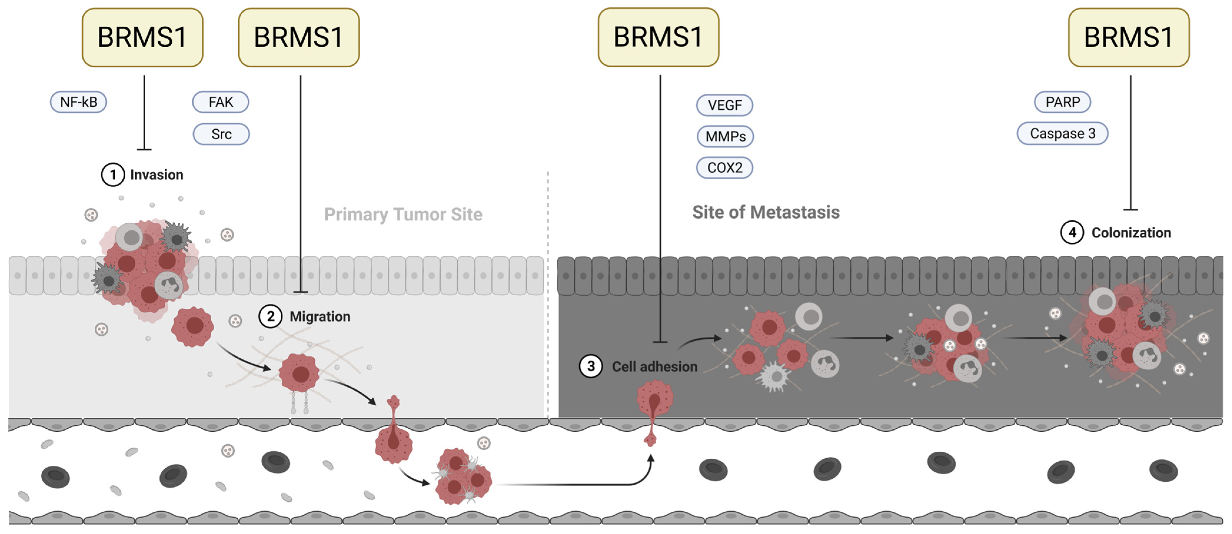 Cancers 15 02907 g001 Cancers 15 02907 g001