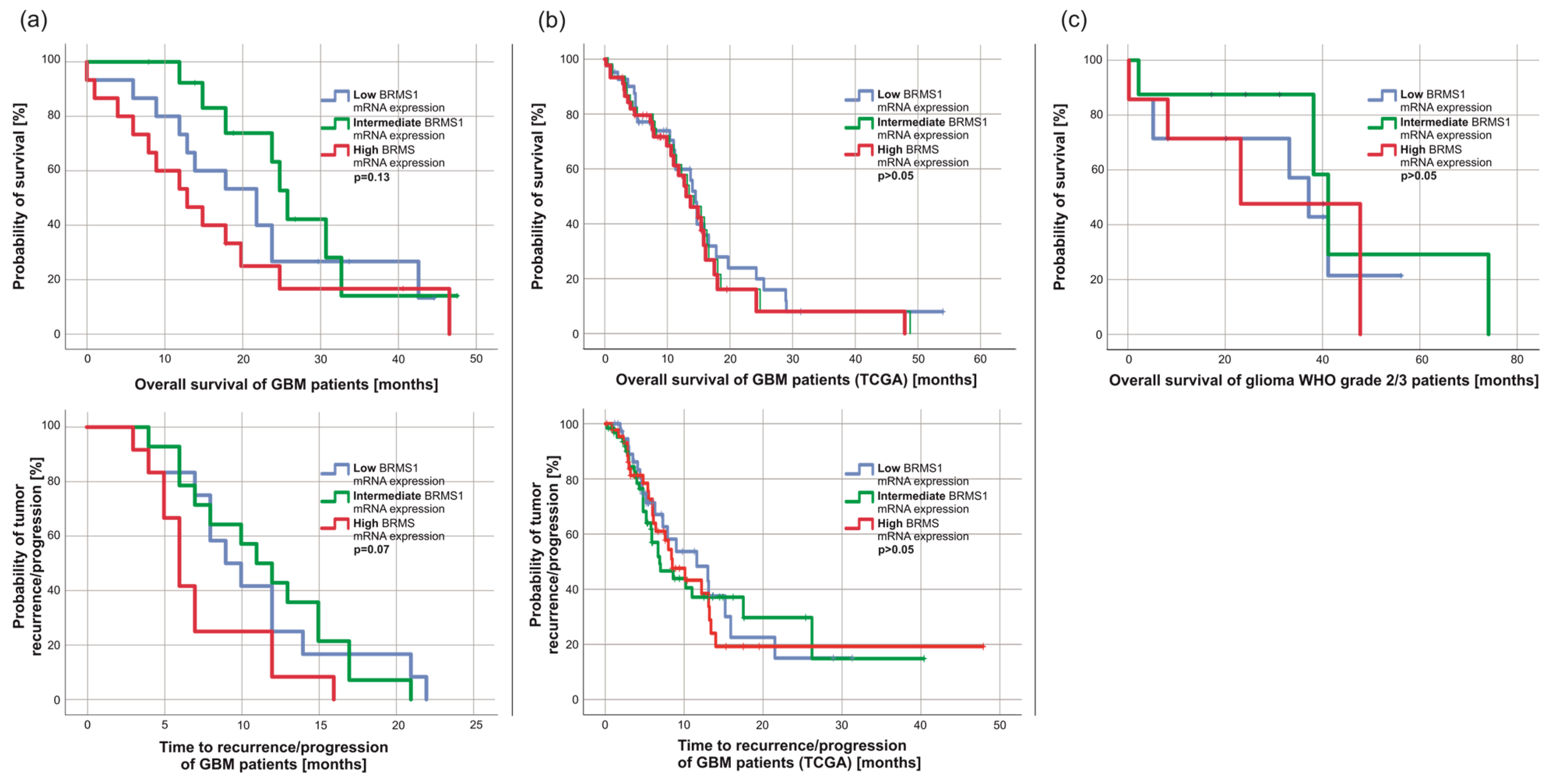 Cancers 15 02907 g004 Cancers 15 02907 g004