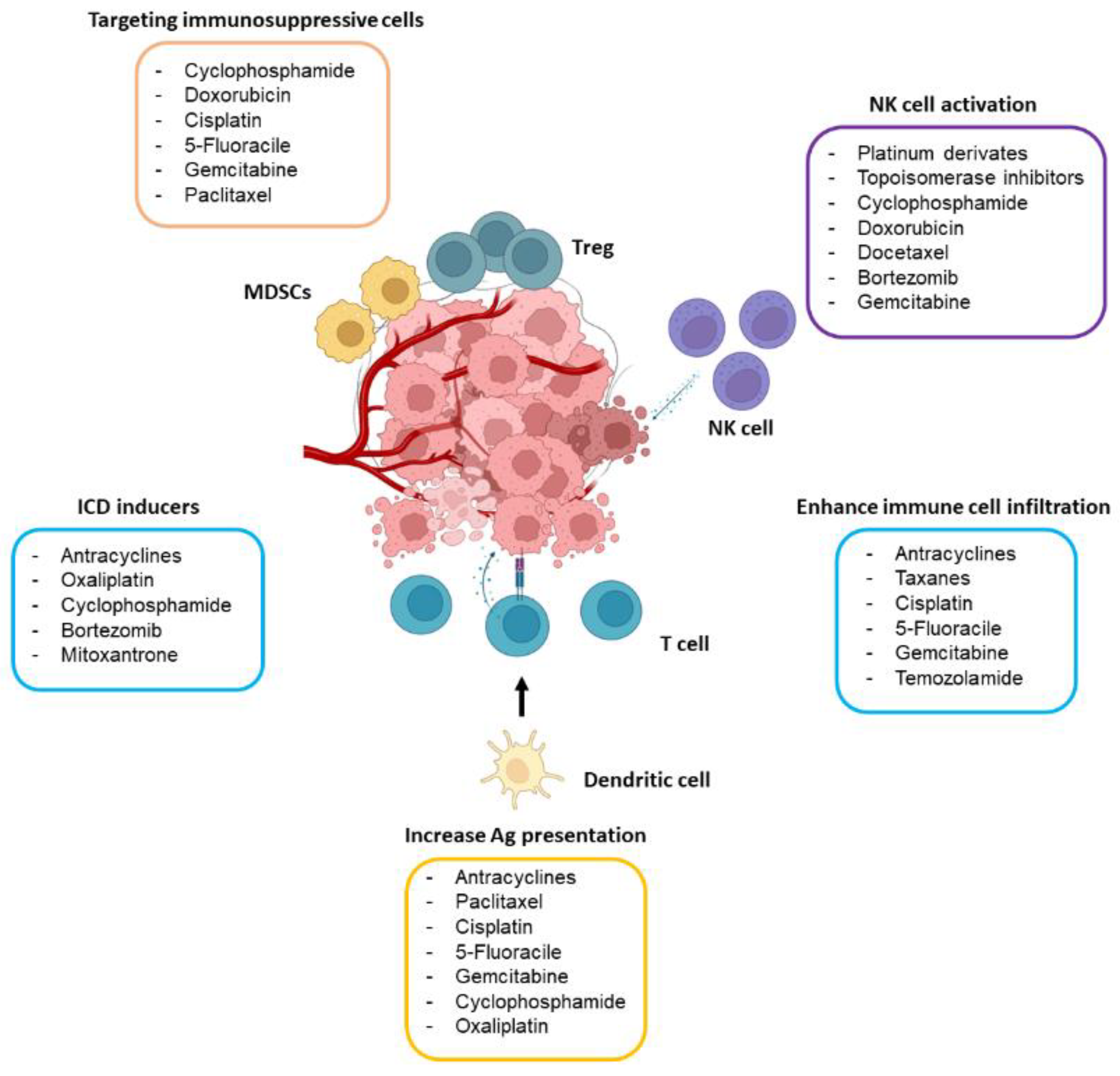 Chemo Immunotherapy A New Trend In Cancer Treatment chemo-immunotherapy-a-new-trend-in-cancer-treatment
