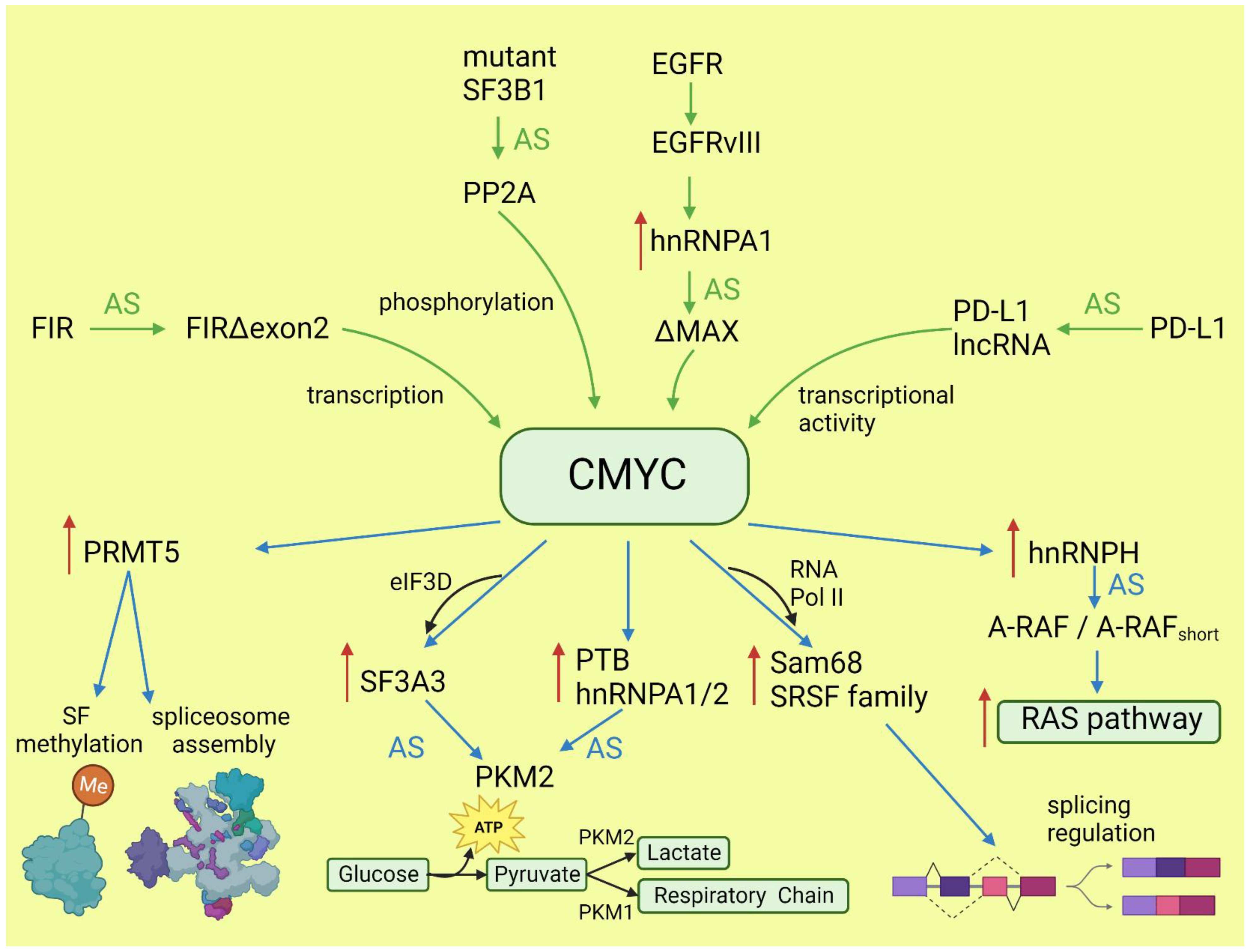 Cancers 15 02918 g001