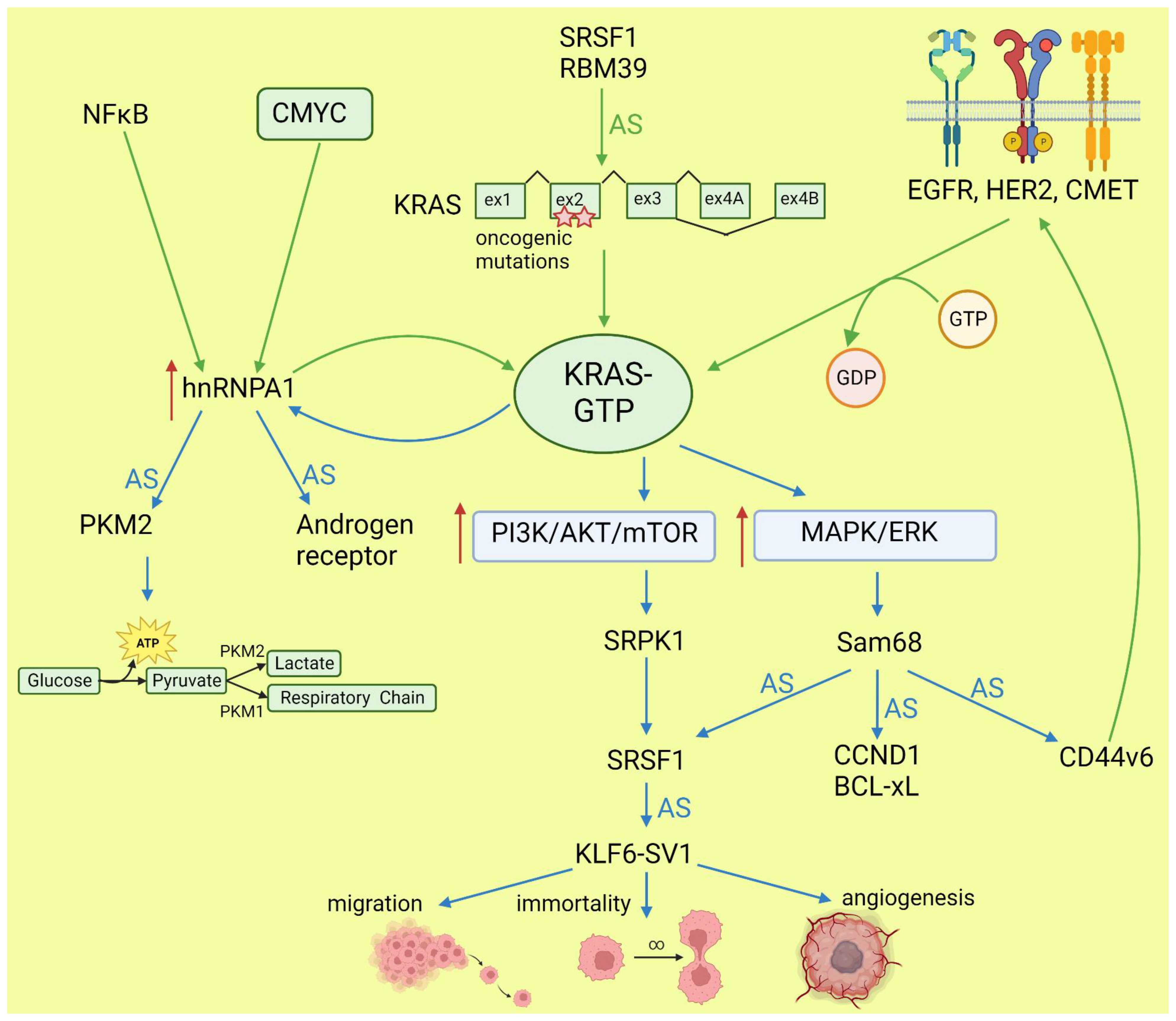 Cancers 15 02918 g002