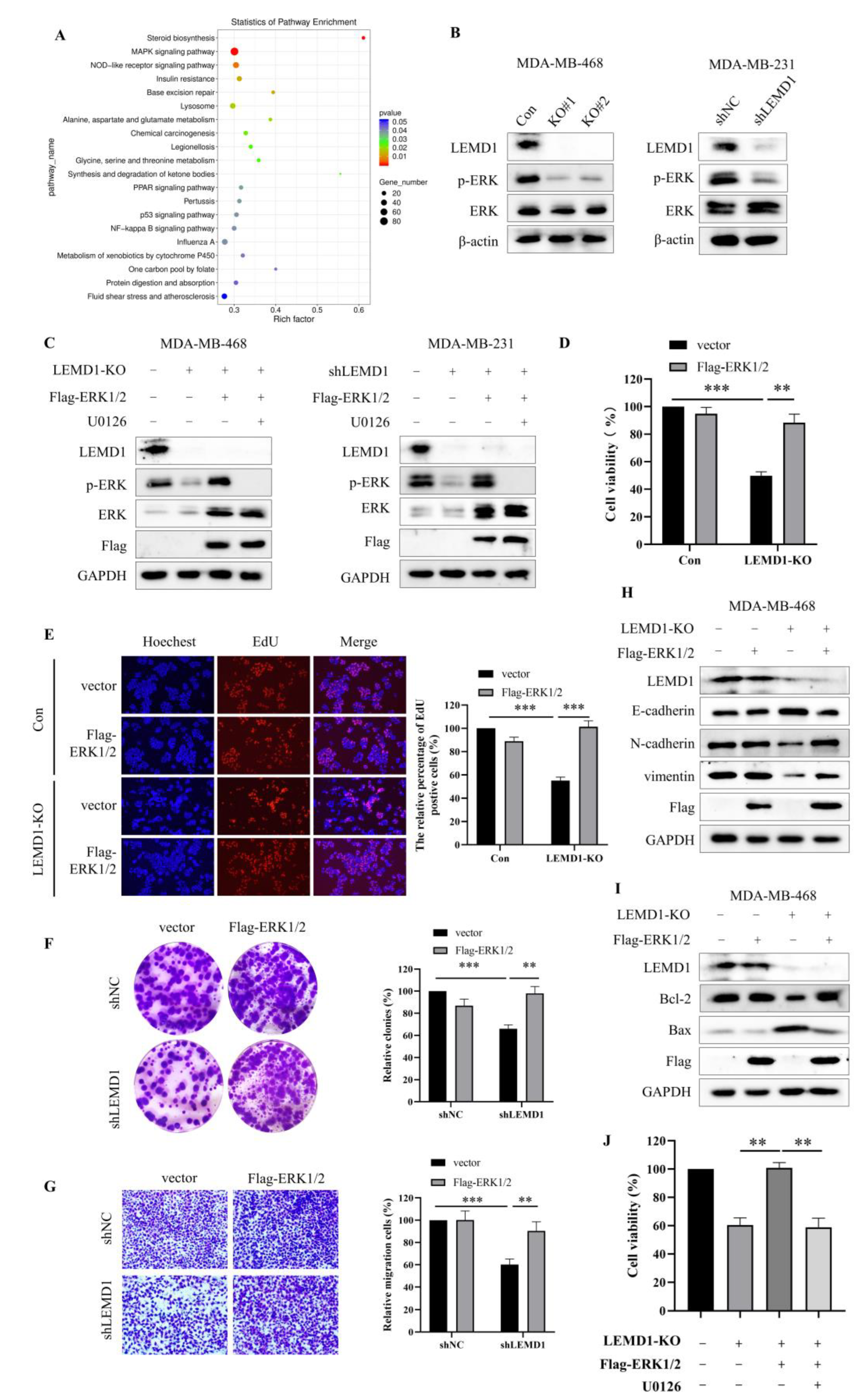 Cancers 15 02924 g005 Cancers 15 02924 g005
