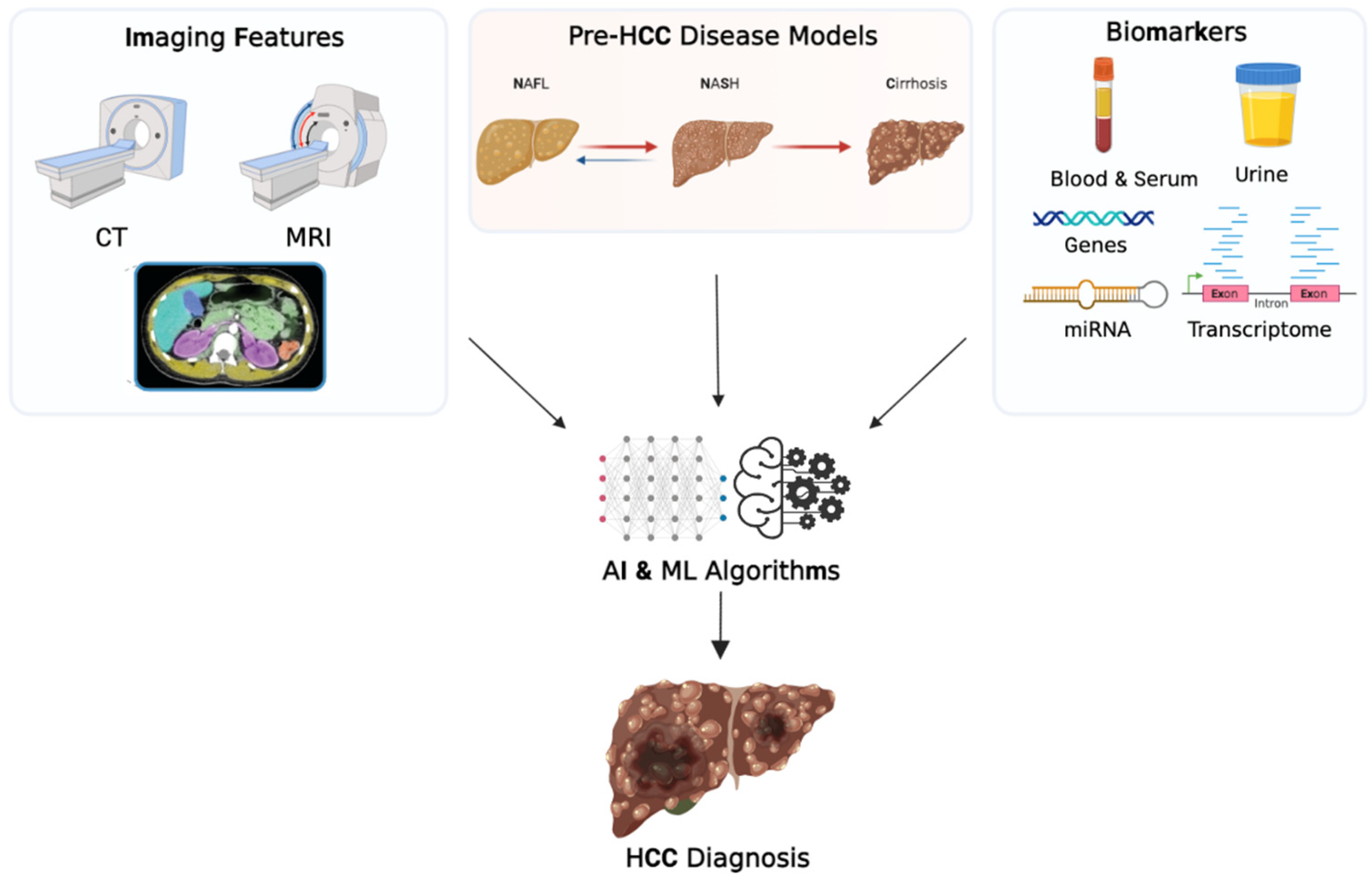 Cancers 15 02928 g001