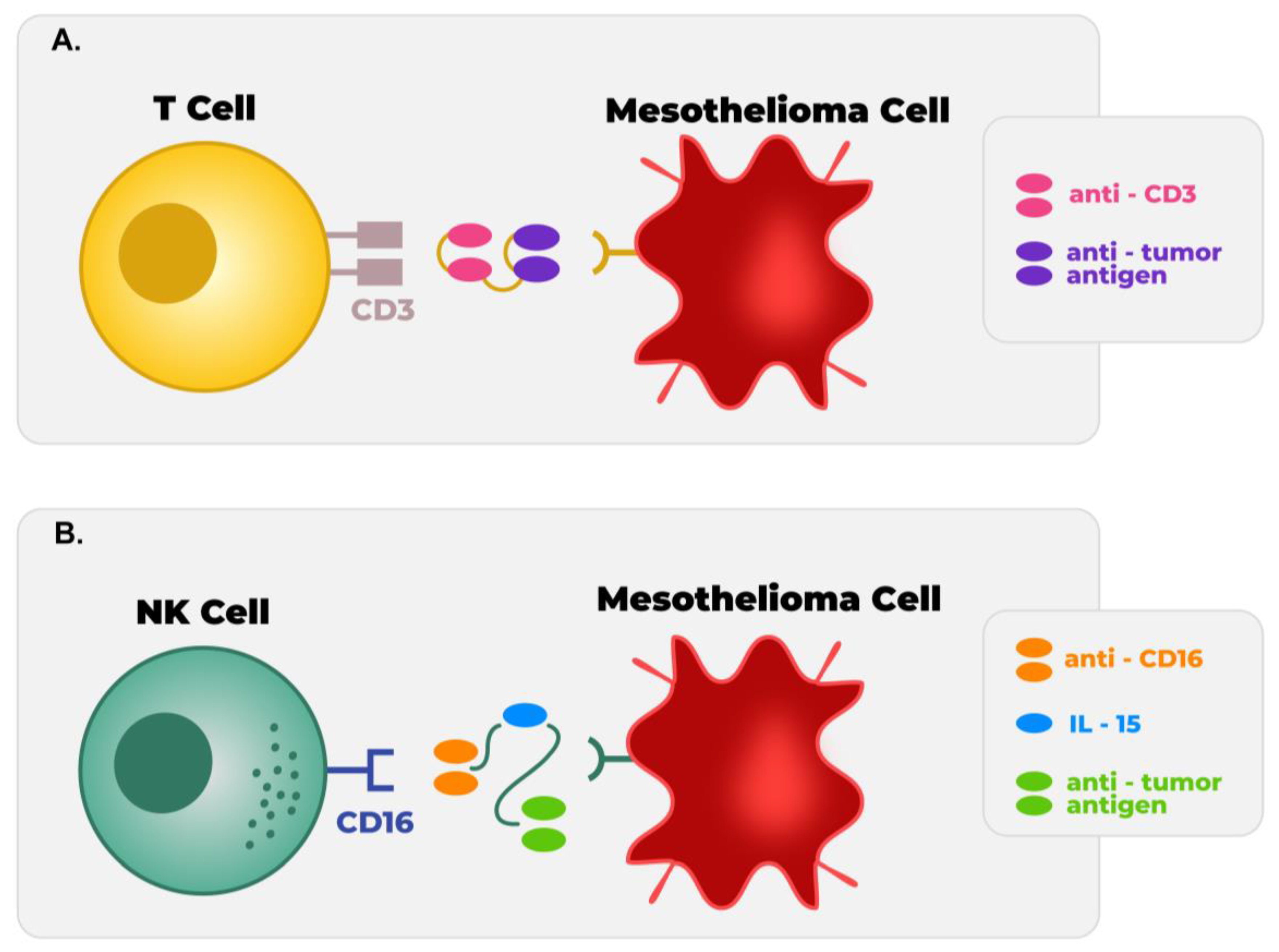 Cancers 15 02940 g002 Cancers 15 02940 g002