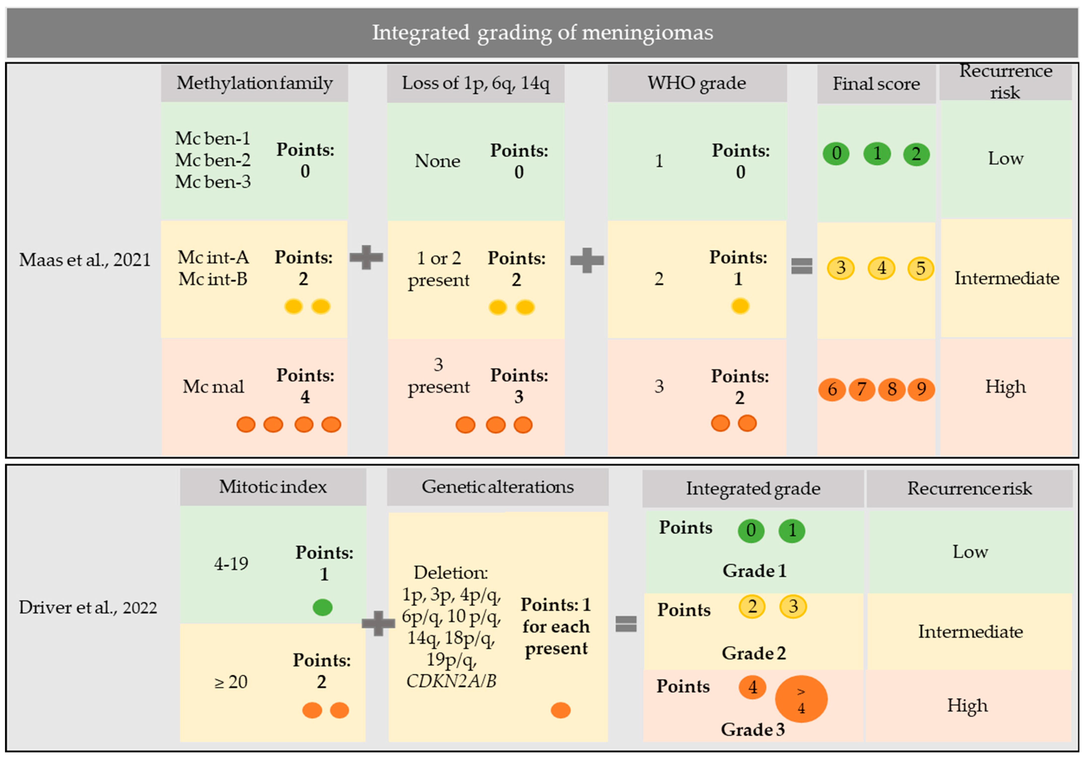 Cancers 15 02945 g001