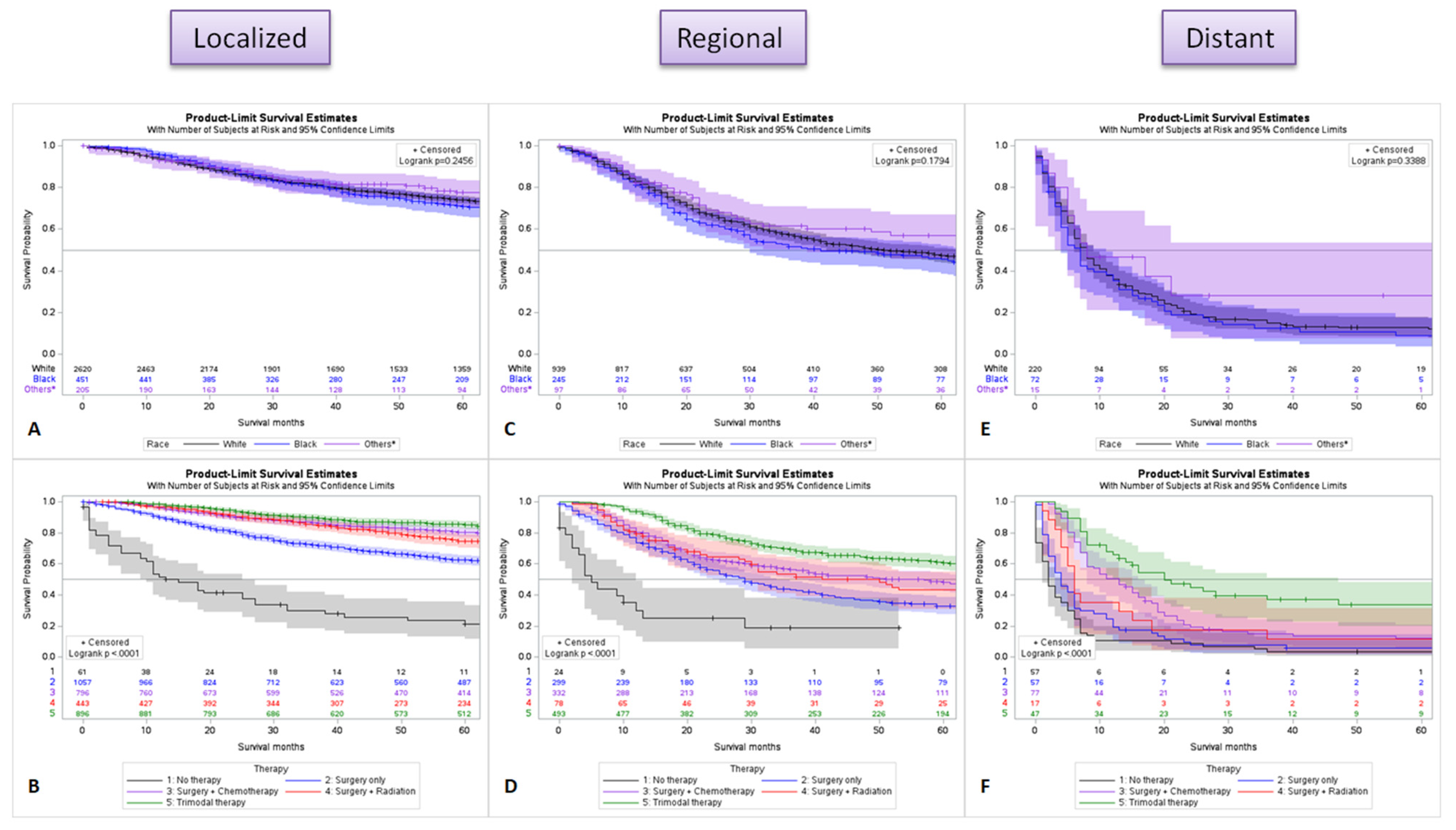 Cancers 15 02954 g006 Cancers 15 02954 g006
