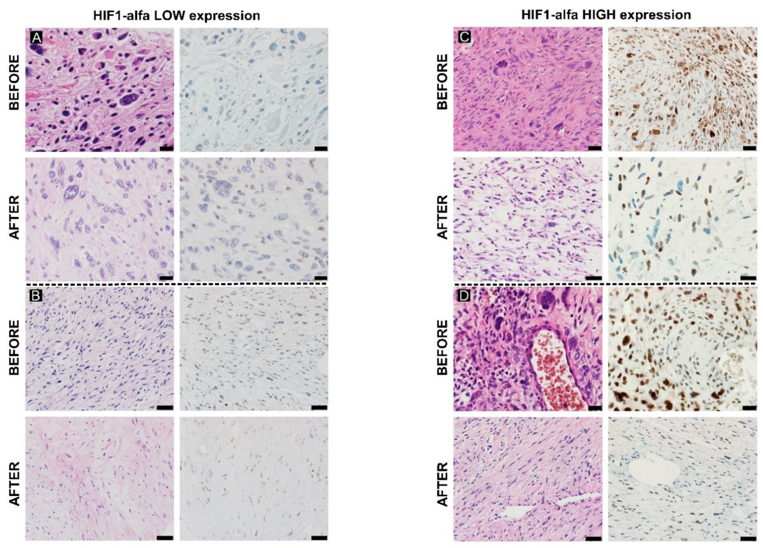 Cancers 15 02960 g001