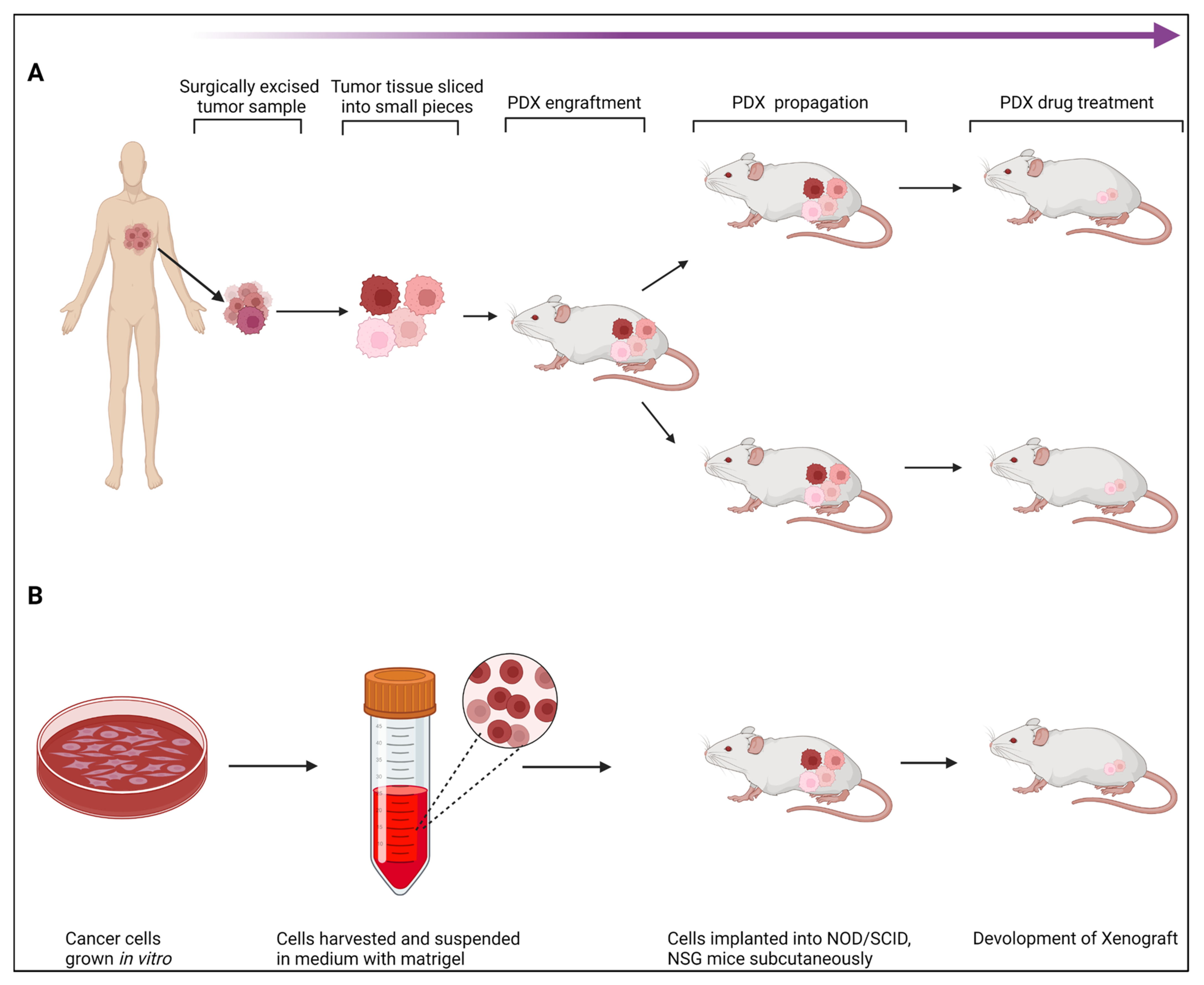 Cancers 15 02961 g002