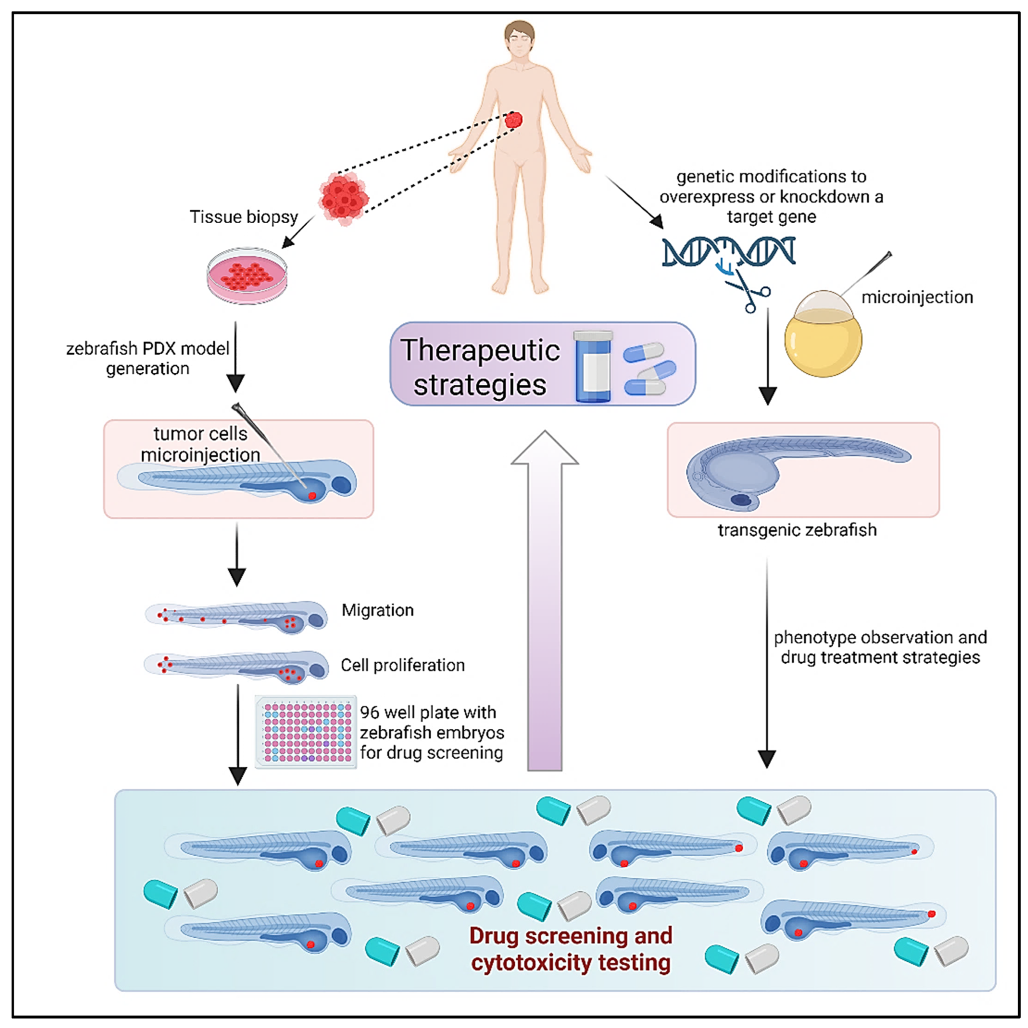 Cancers 15 02961 g003