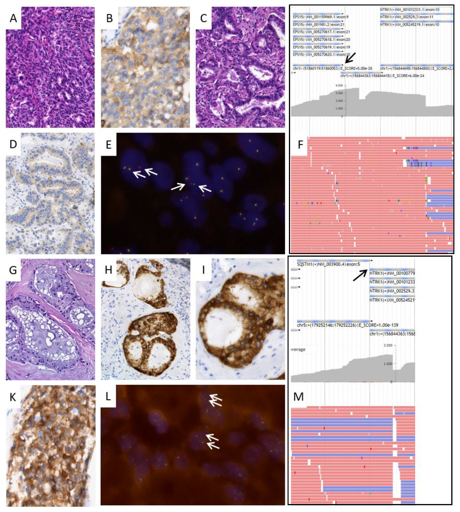 Cancers 15 02966 g002 Cancers 15 02966 g002