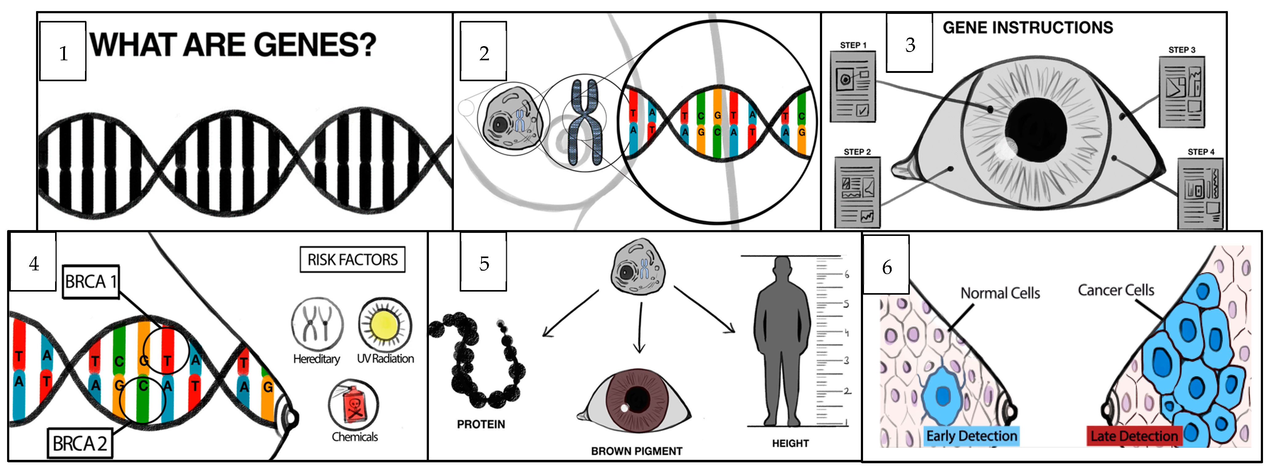 Cancers 15 02973 g003 Cancers 15 02973 g003