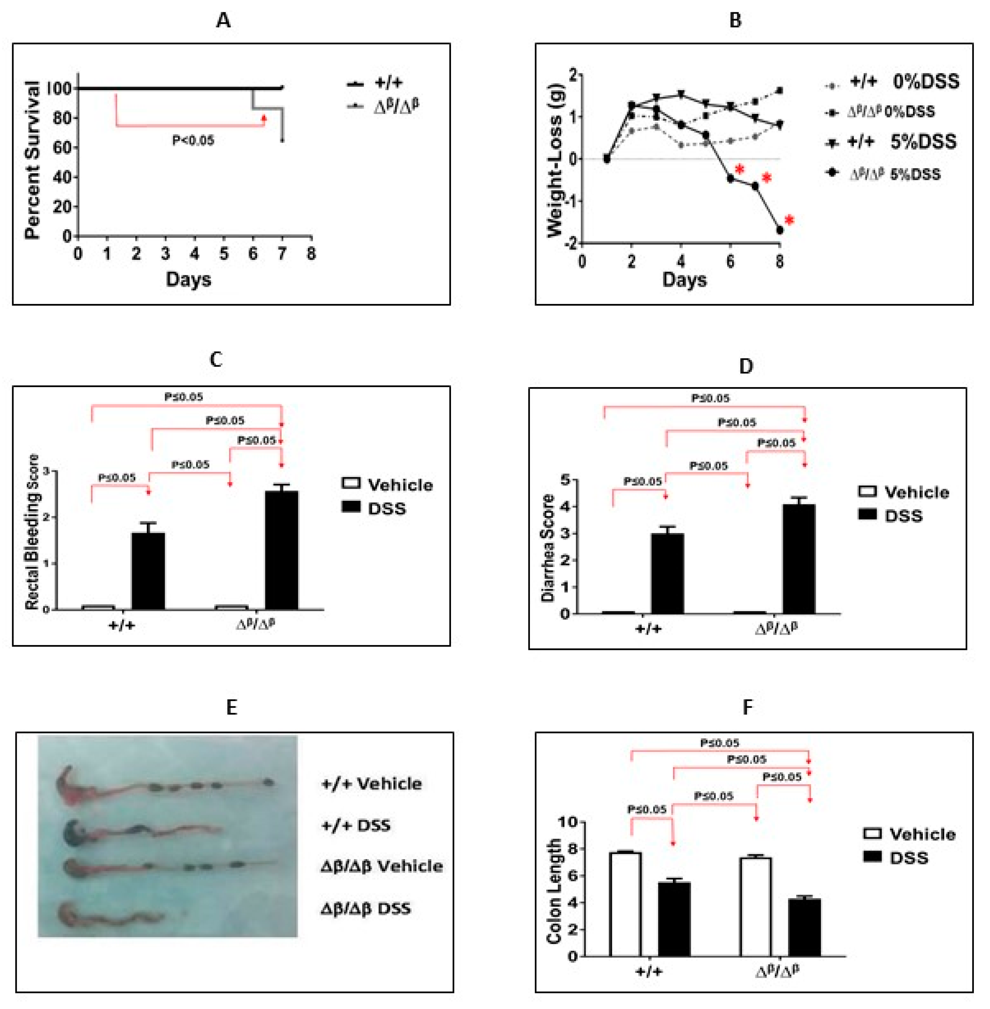 Cancers 15 02977 g001