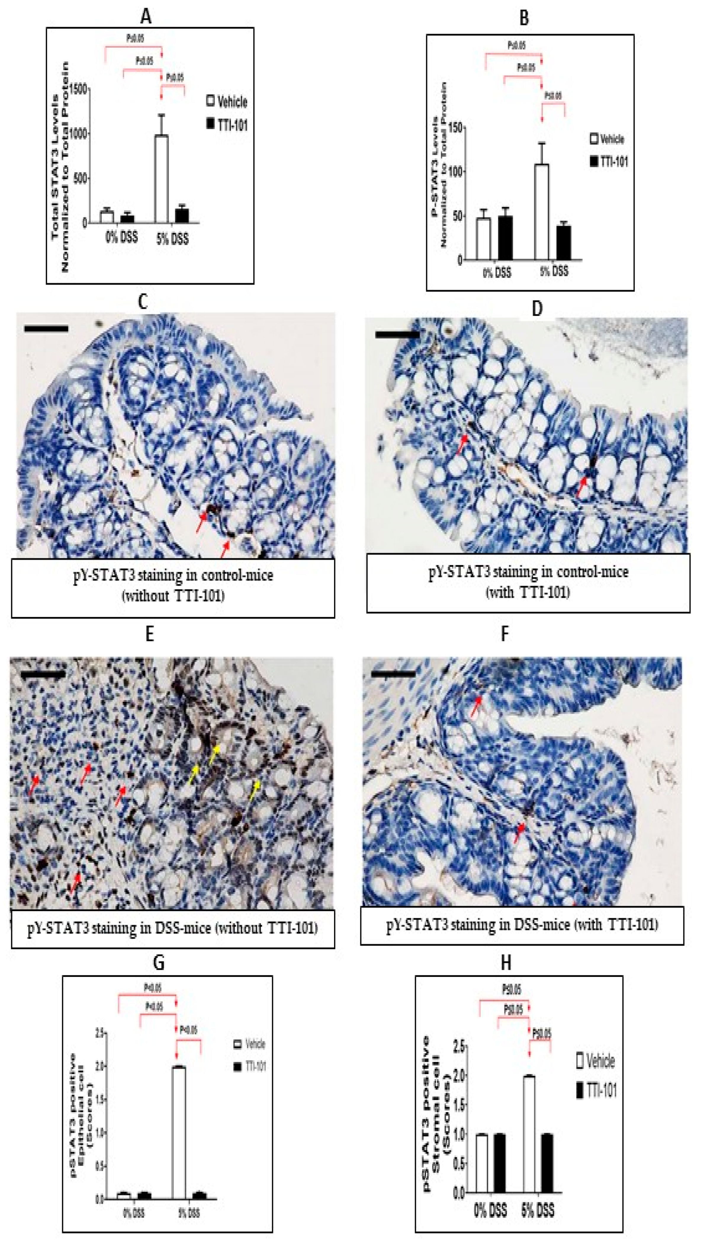 Cancers 15 02977 g003