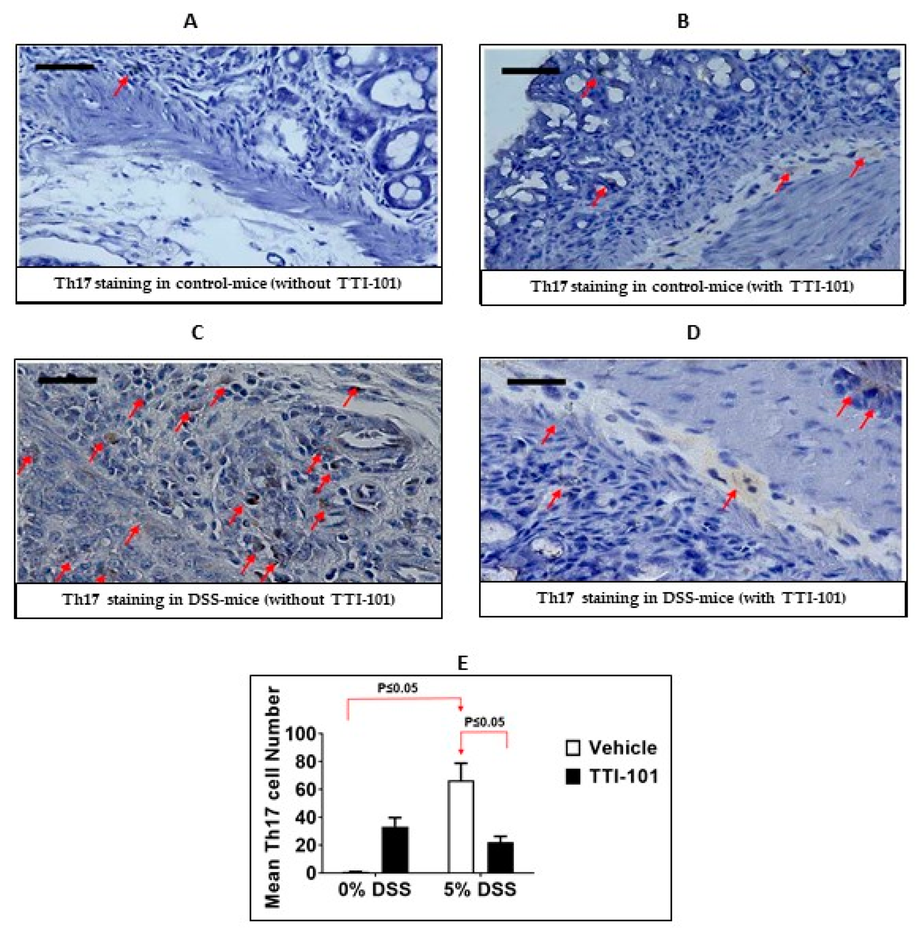 Cancers 15 02977 g006