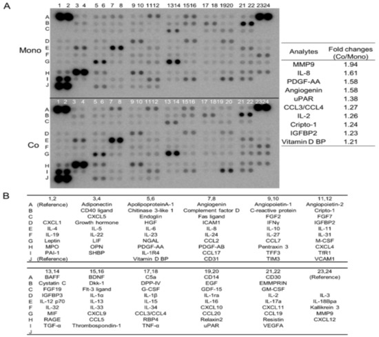 MASAページ Sky High Car Audio Pro Audio NEO84 8″ Midrange Midbass Speaker 800