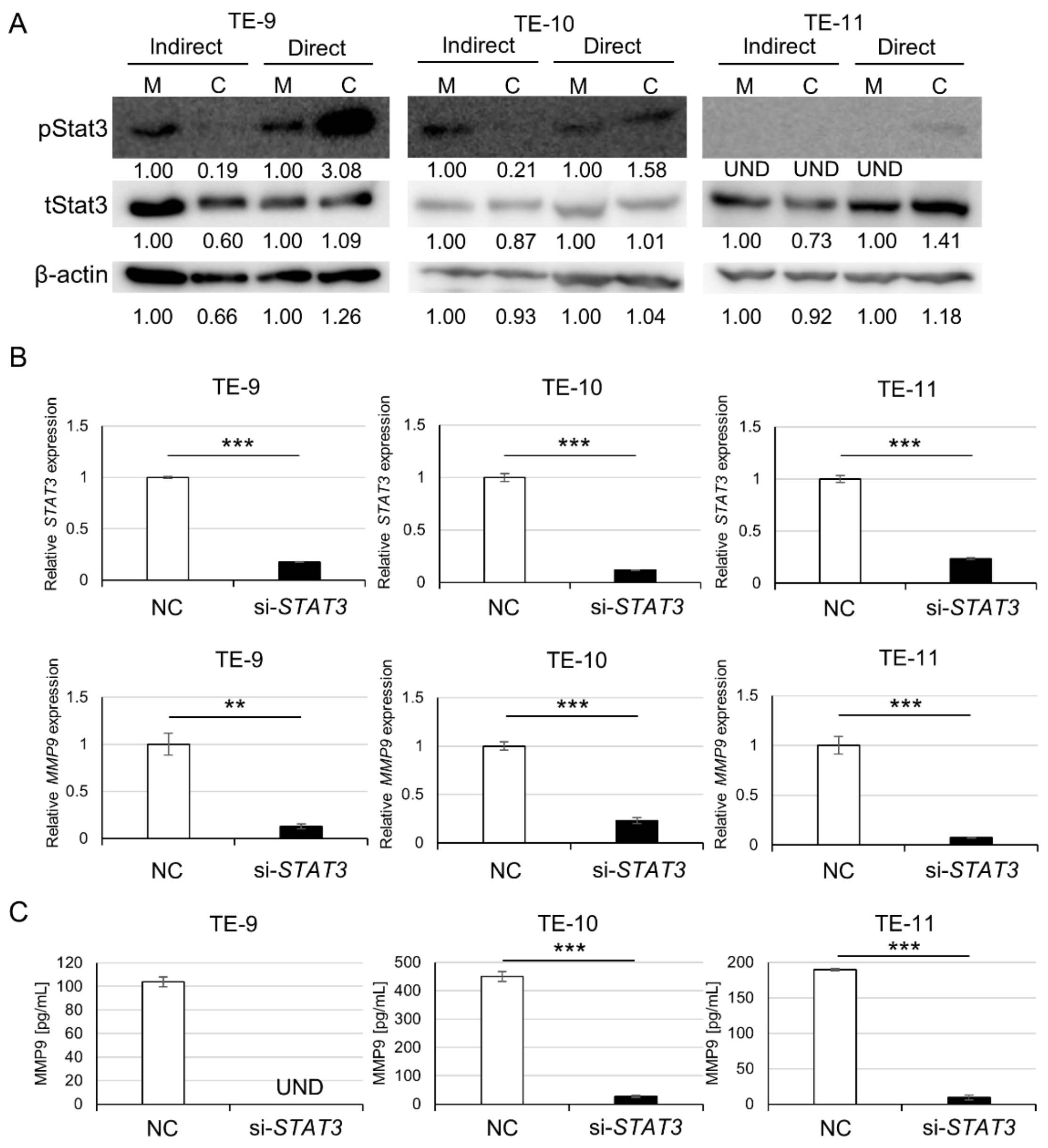 Cancers 15 02987 g003