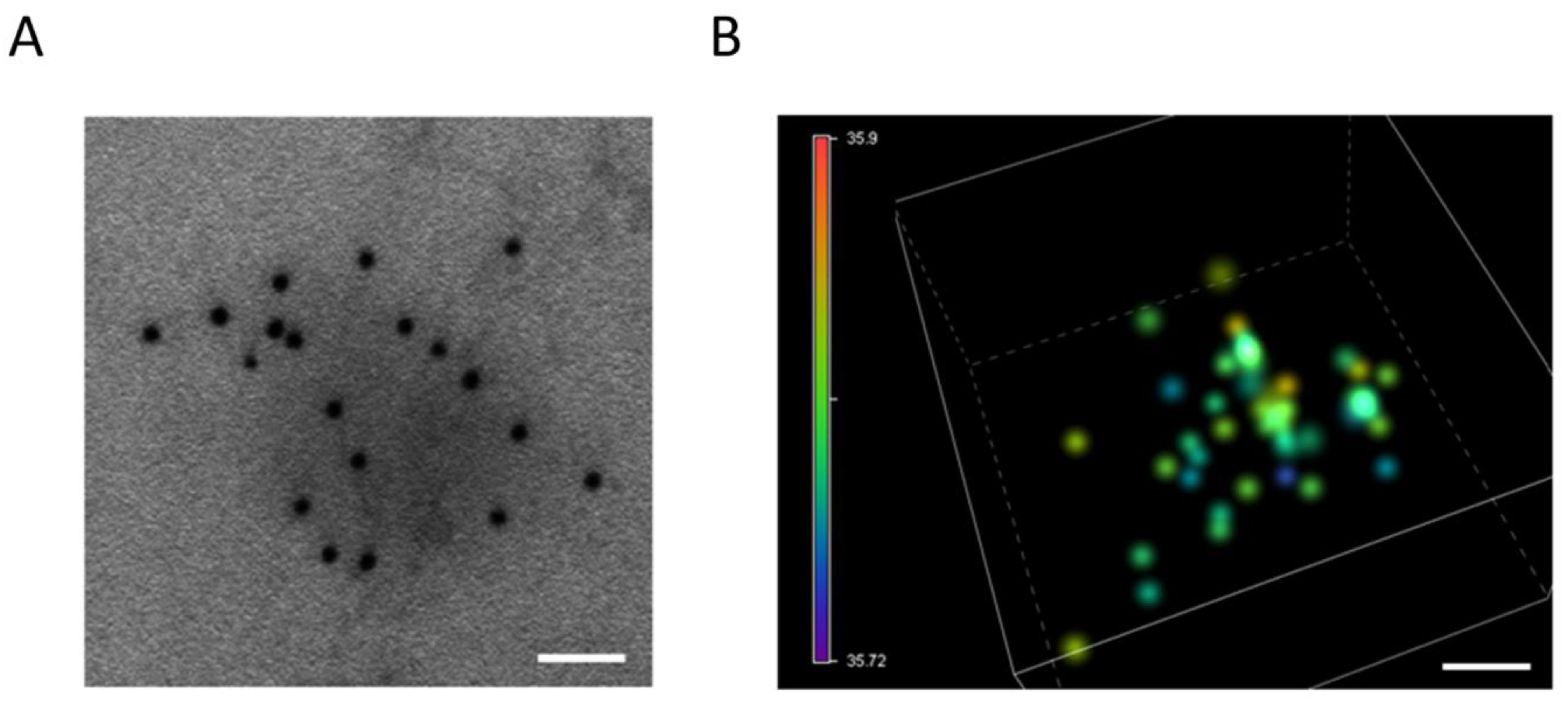 Cancers 15 03009 g002 Cancers 15 03009 g002