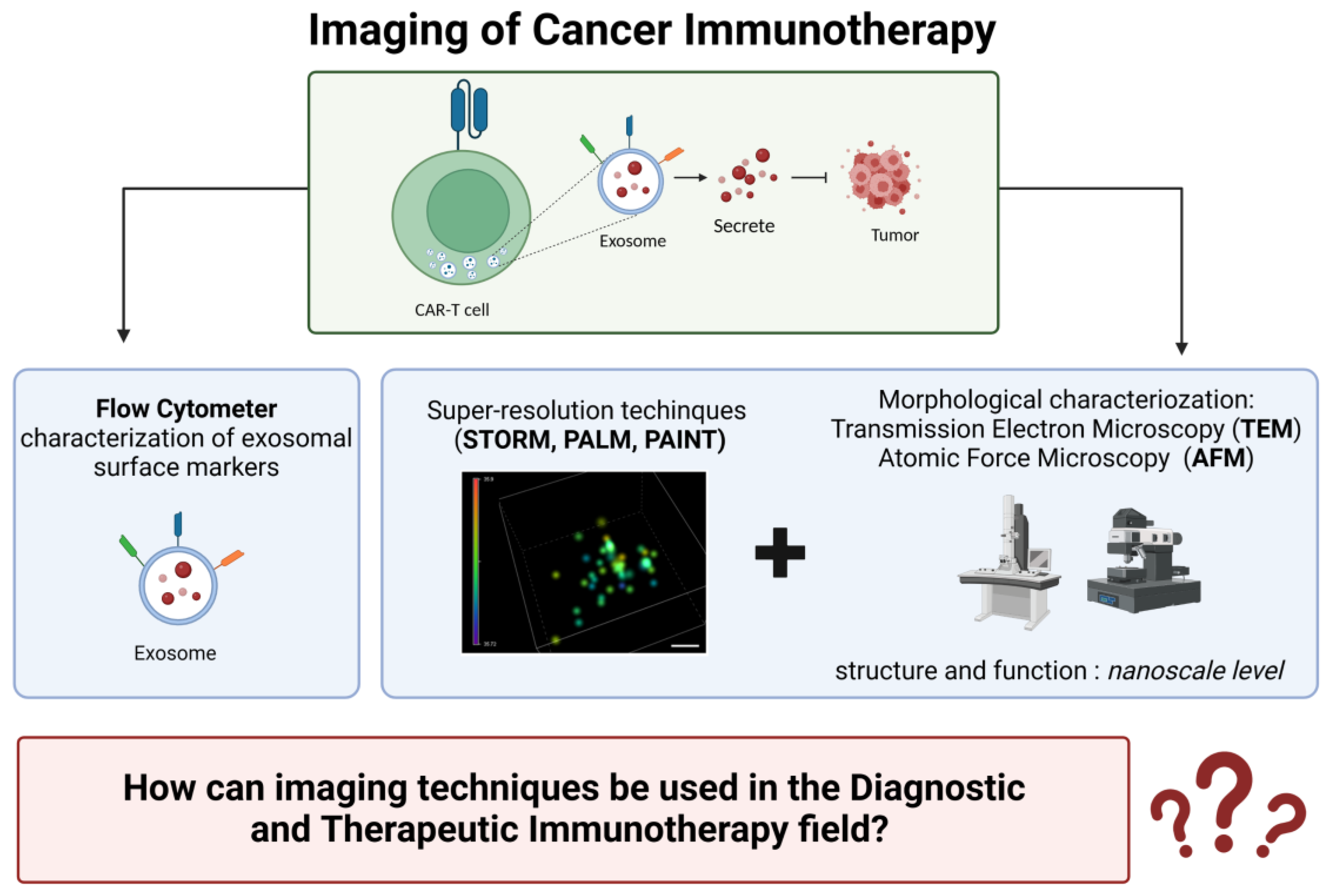 Cancers 15 03009 g006 Cancers 15 03009 g006