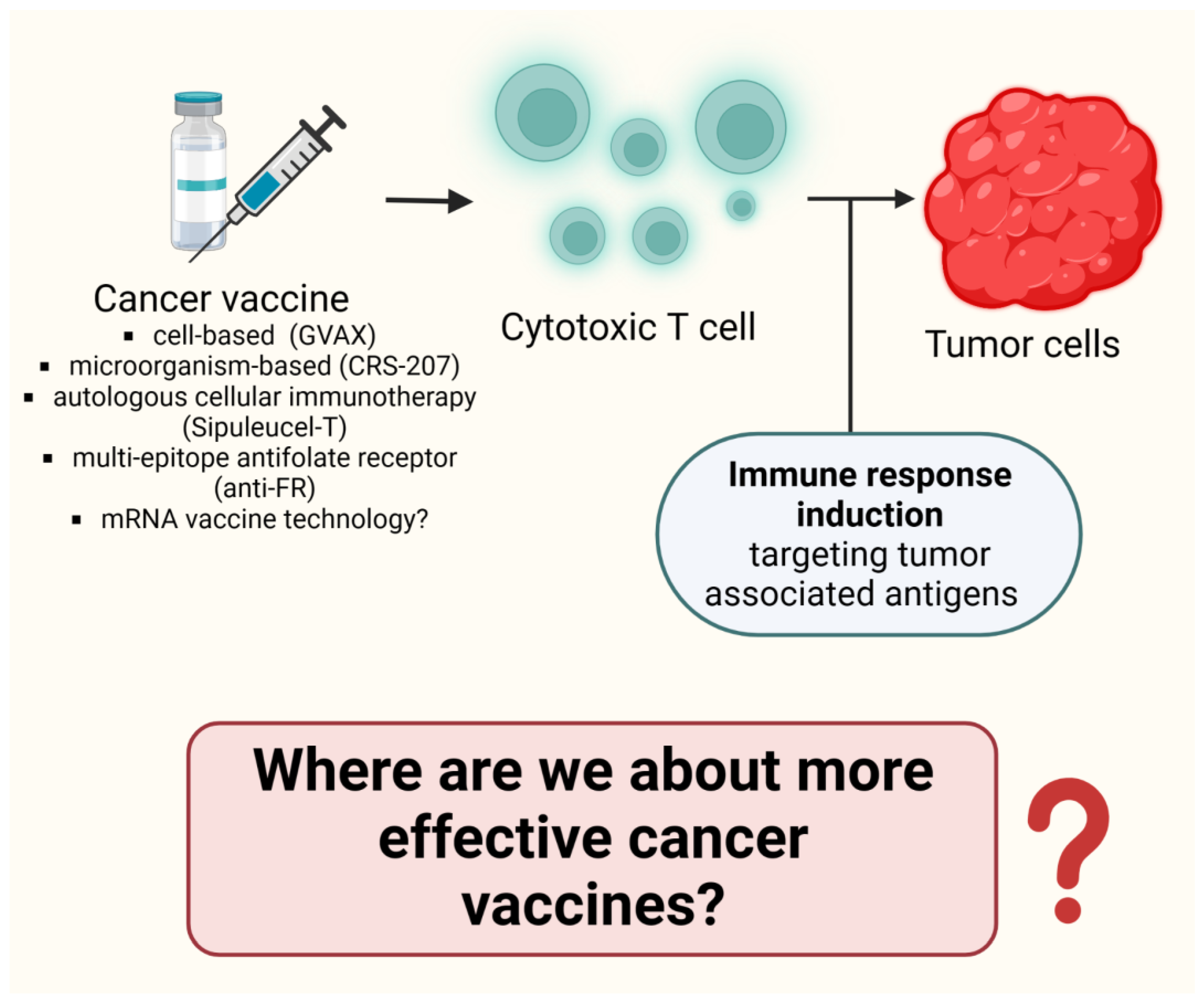 Cancers 15 03009 g008 Cancers 15 03009 g008