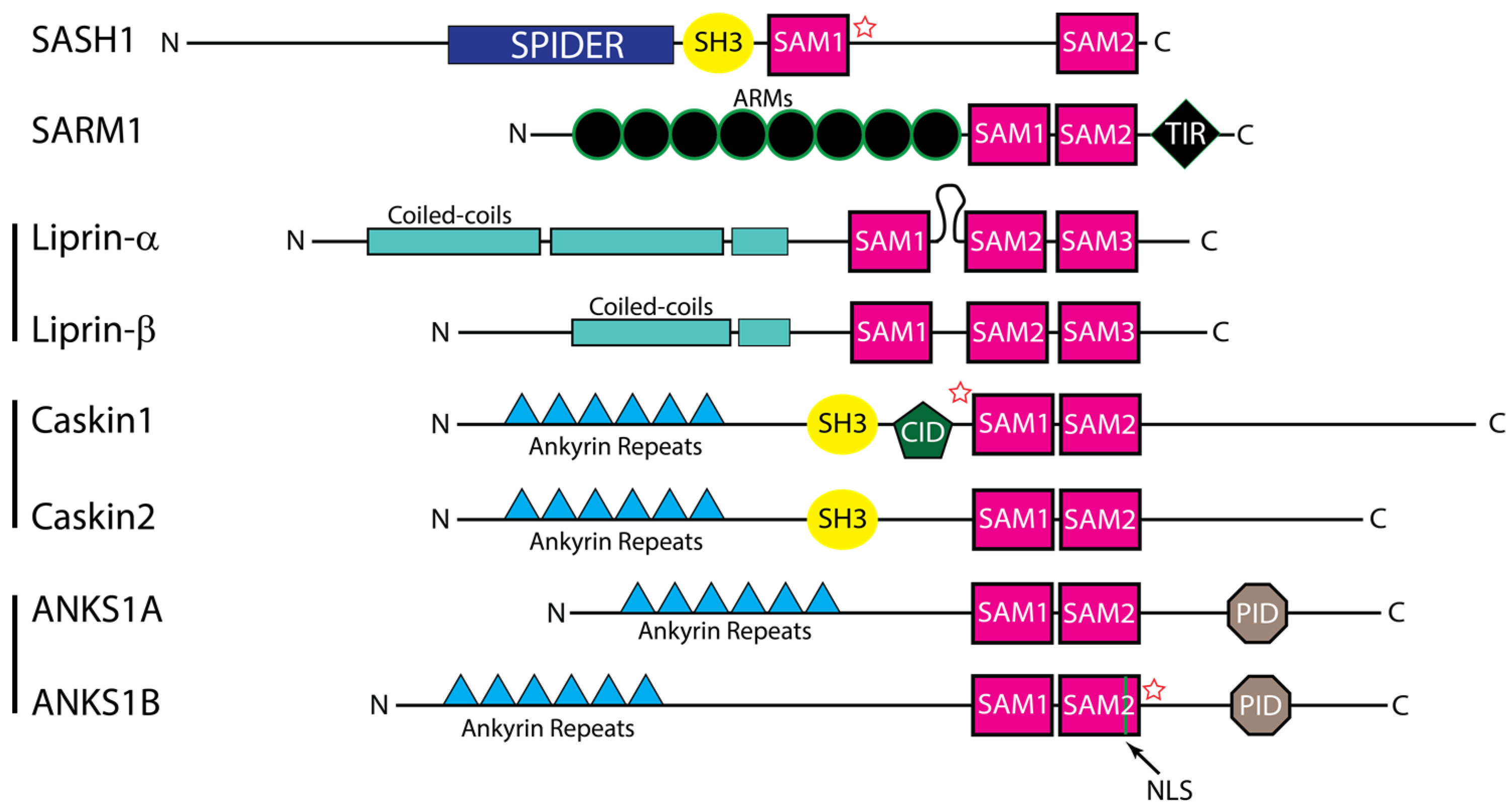 Cancers 15 03019 g001