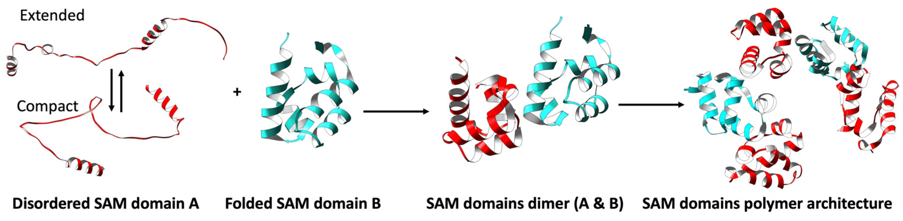 Cancers 15 03019 g002