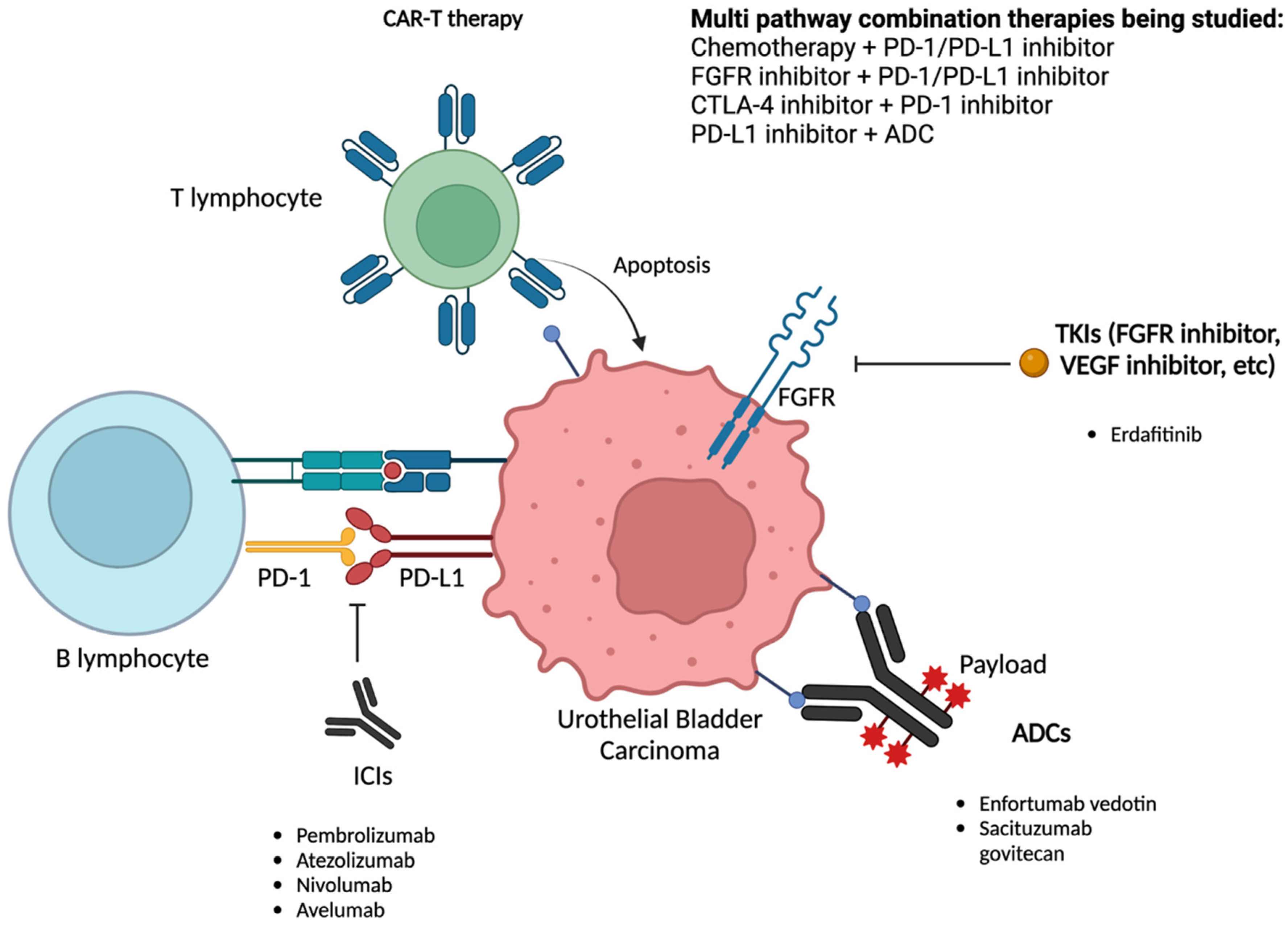 Cancers 15 03024 g002 Cancers 15 03024 g002