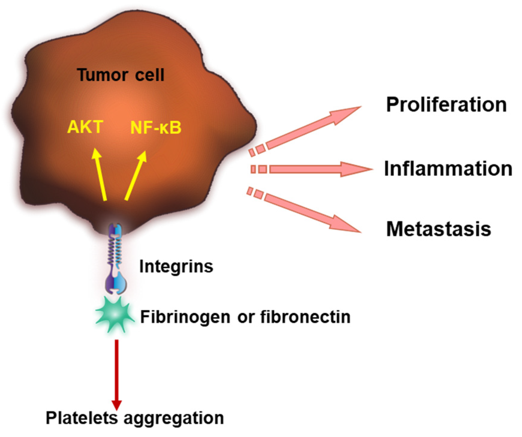 Cancers 15 03025 g002