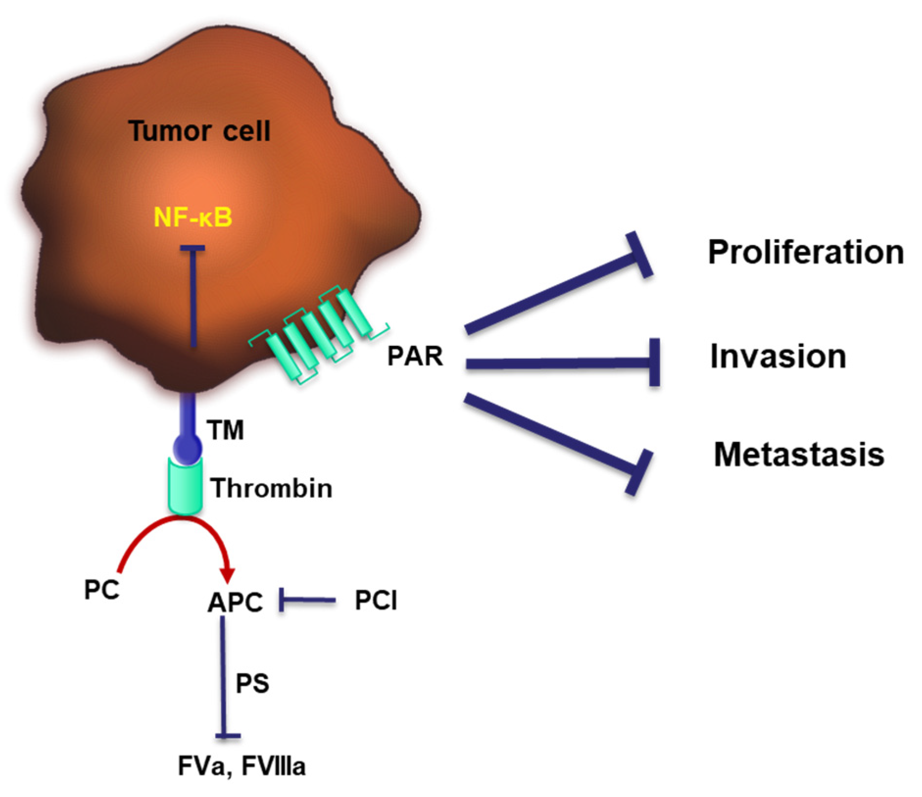 Cancers 15 03025 g003