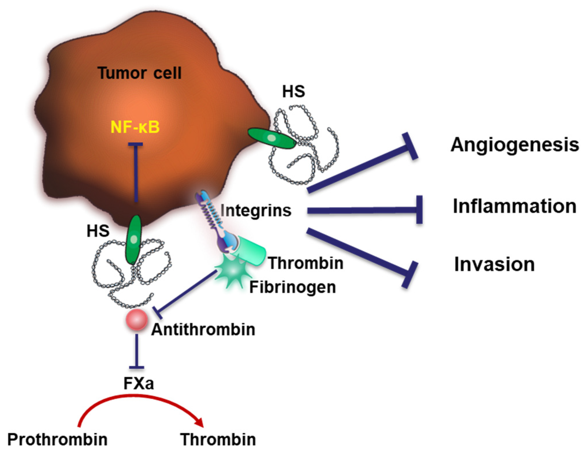 Cancers 15 03025 g004