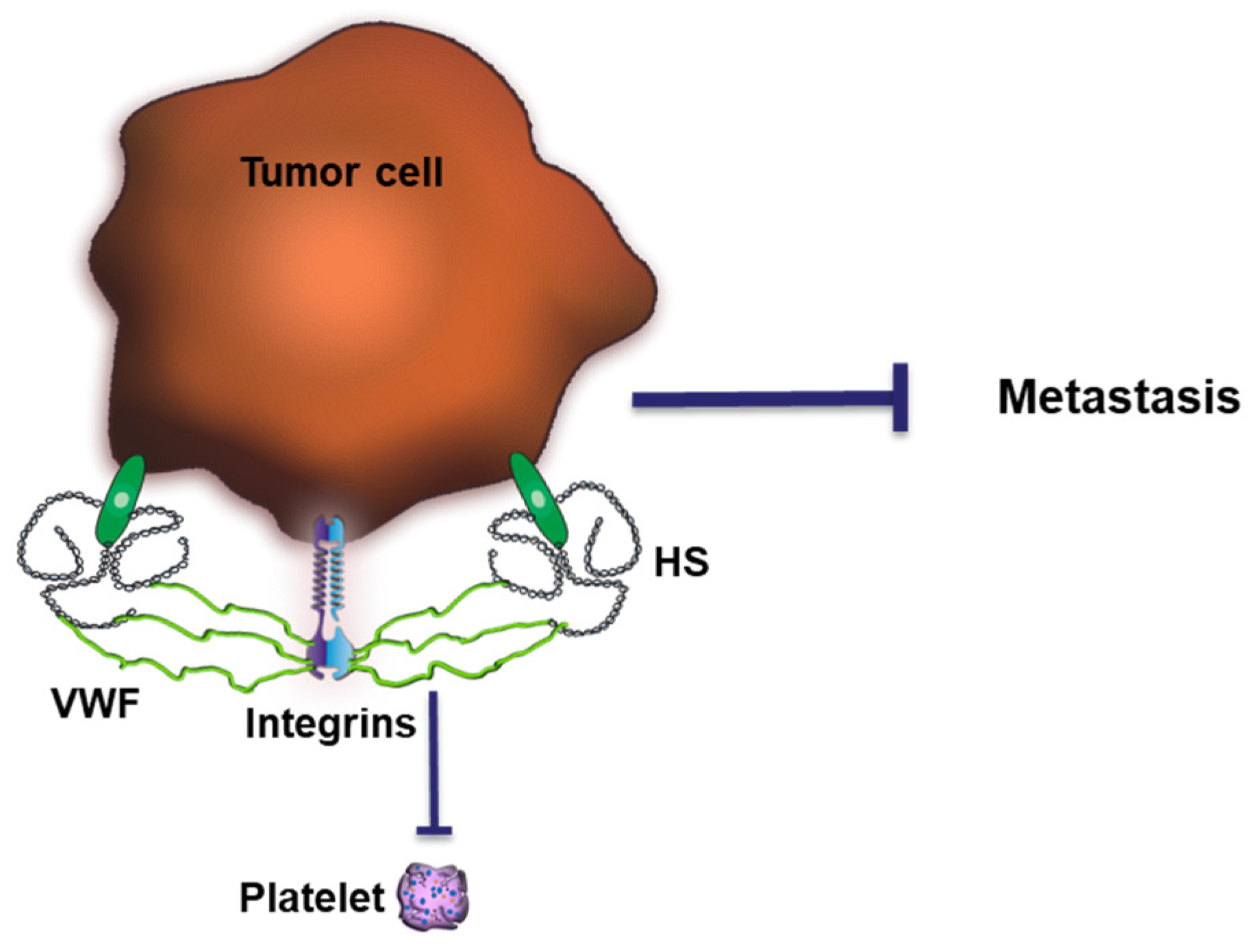 Cancers 15 03025 g005