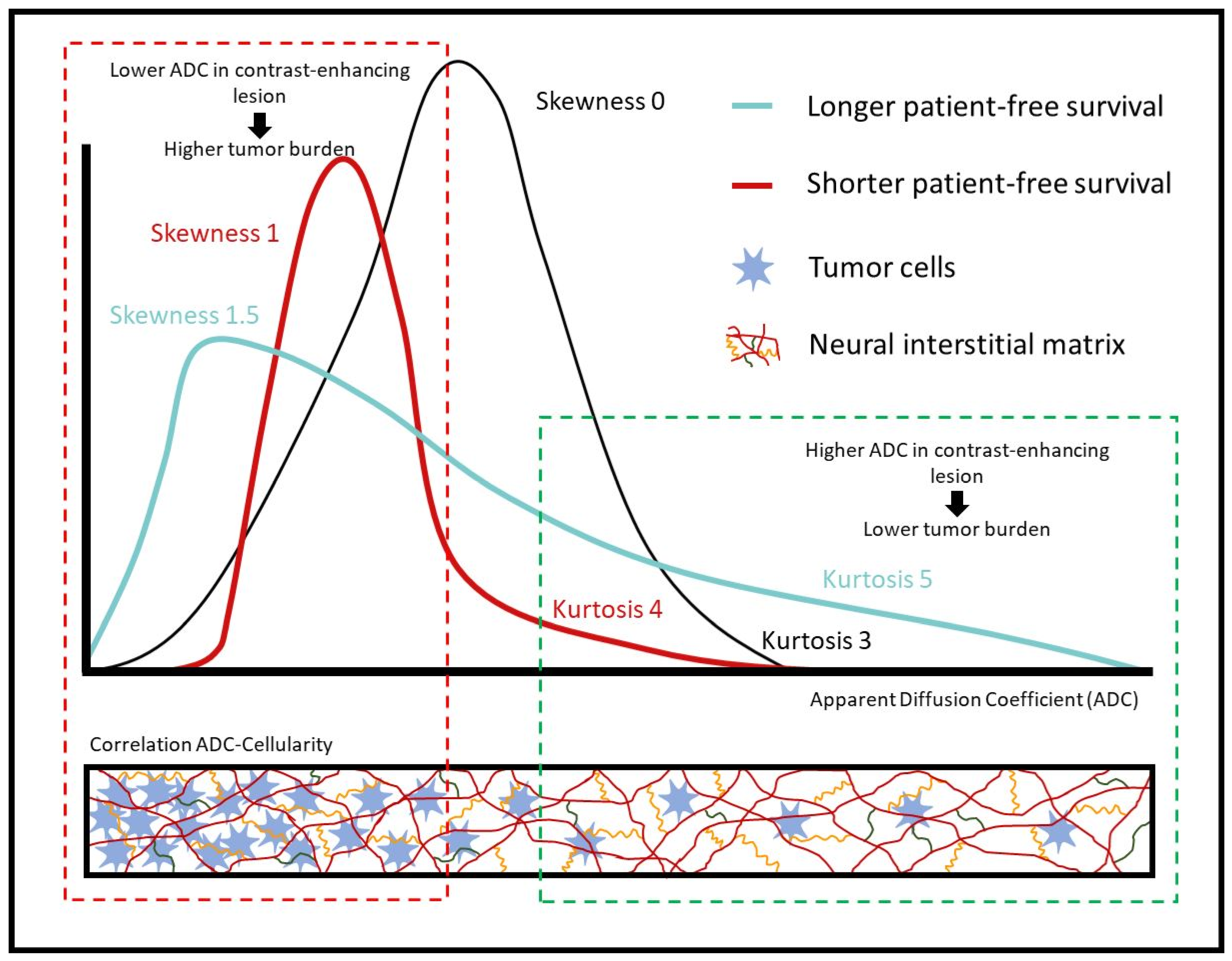 Cancers 15 03026 g004