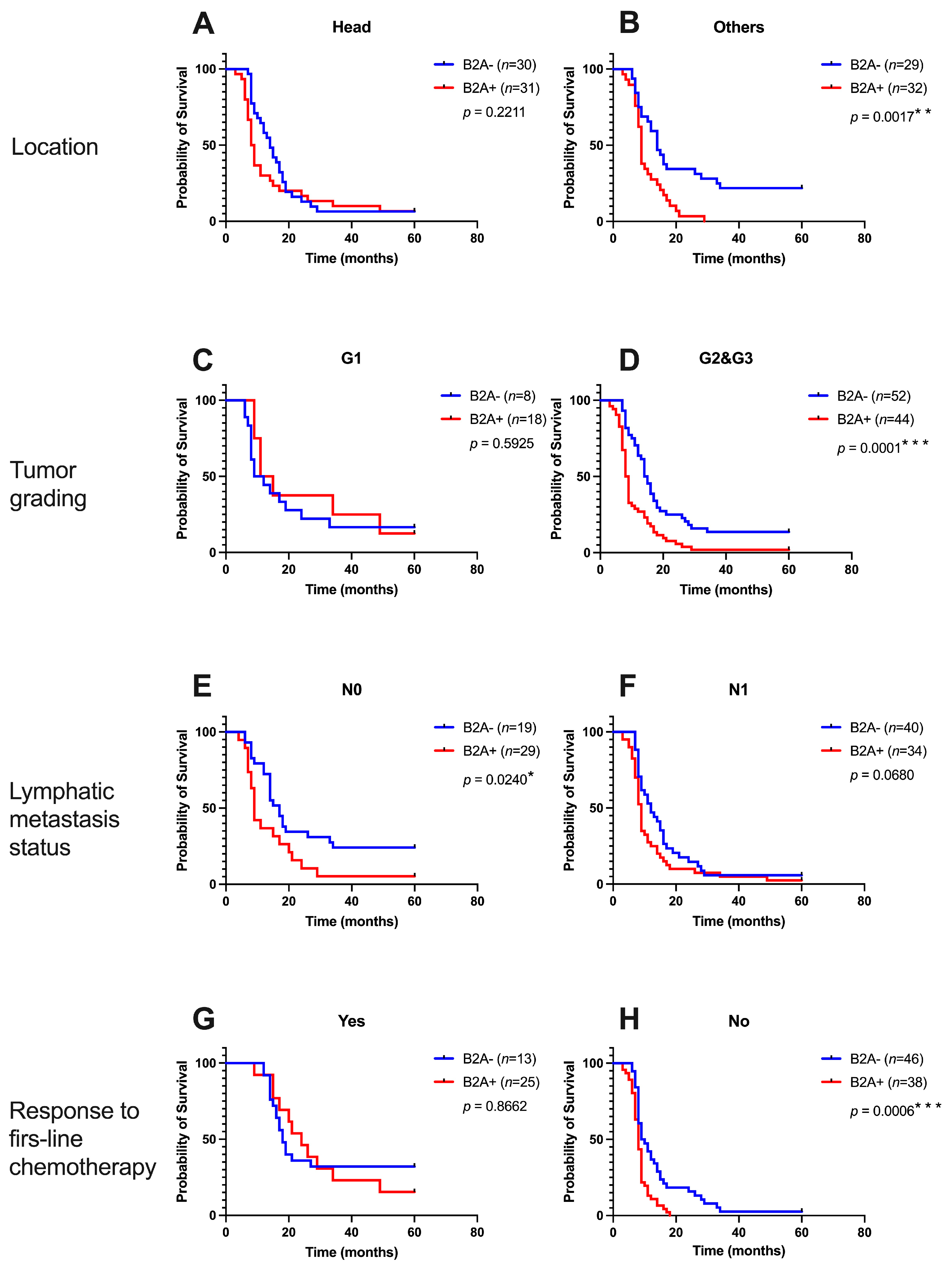 Cancers 15 03040 g006 Cancers 15 03040 g006