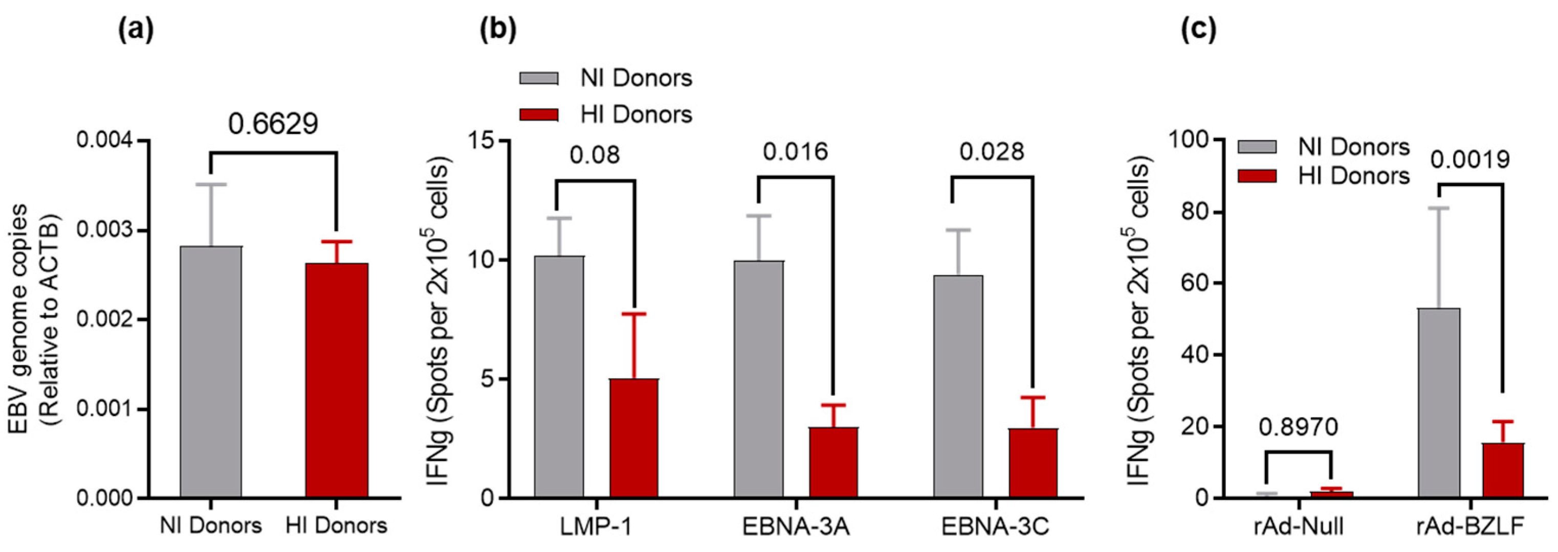 Cancers 15 03046 g001 Cancers 15 03046 g001