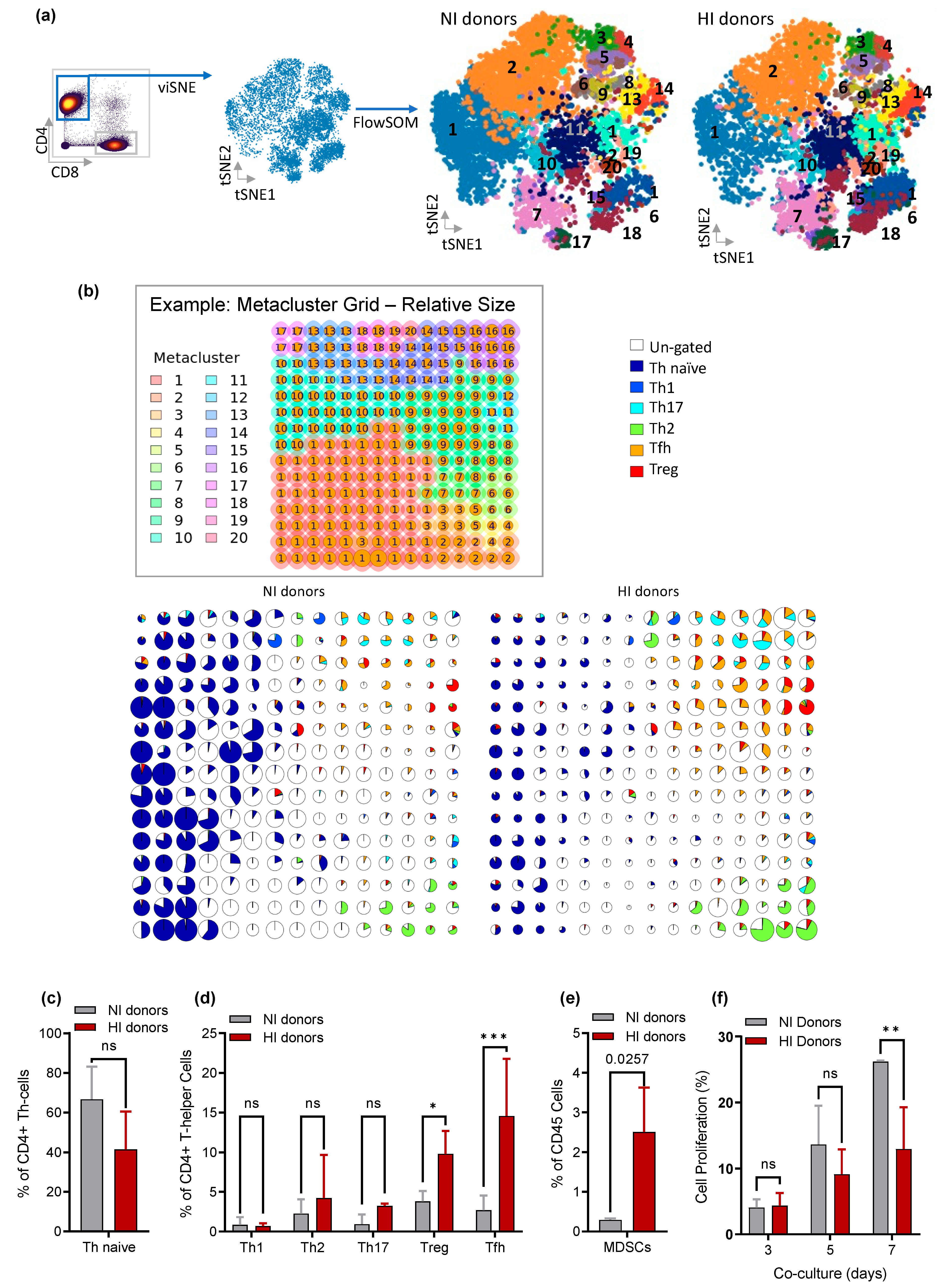 Cancers 15 03046 g003 Cancers 15 03046 g003