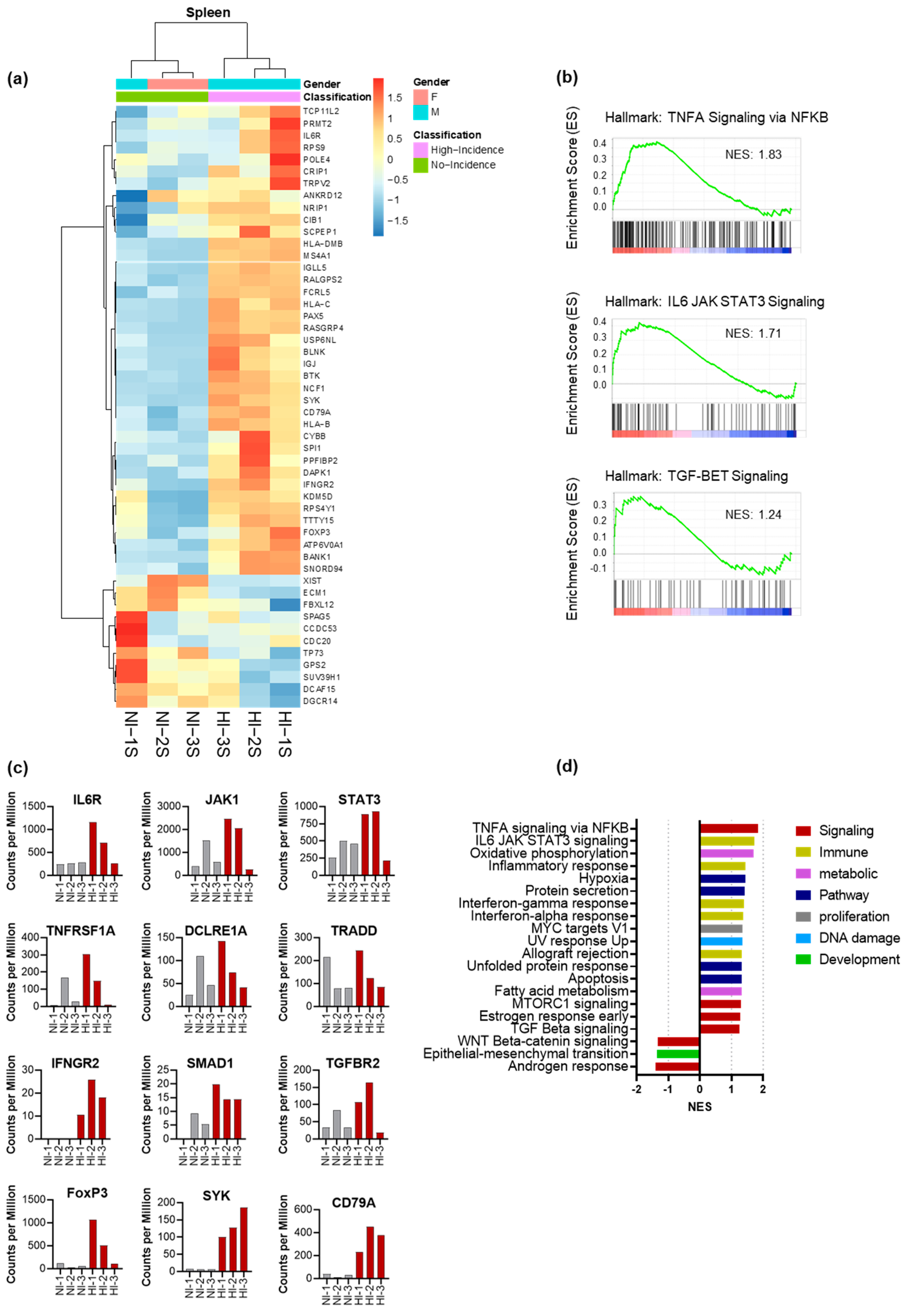 Cancers 15 03046 g004 Cancers 15 03046 g004