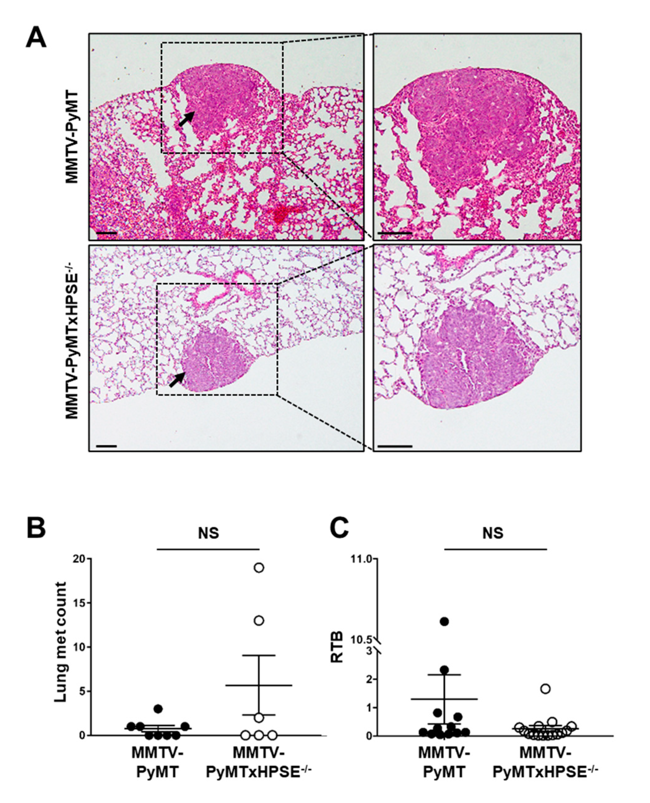 Cancers 15 03062 g005 Cancers 15 03062 g005