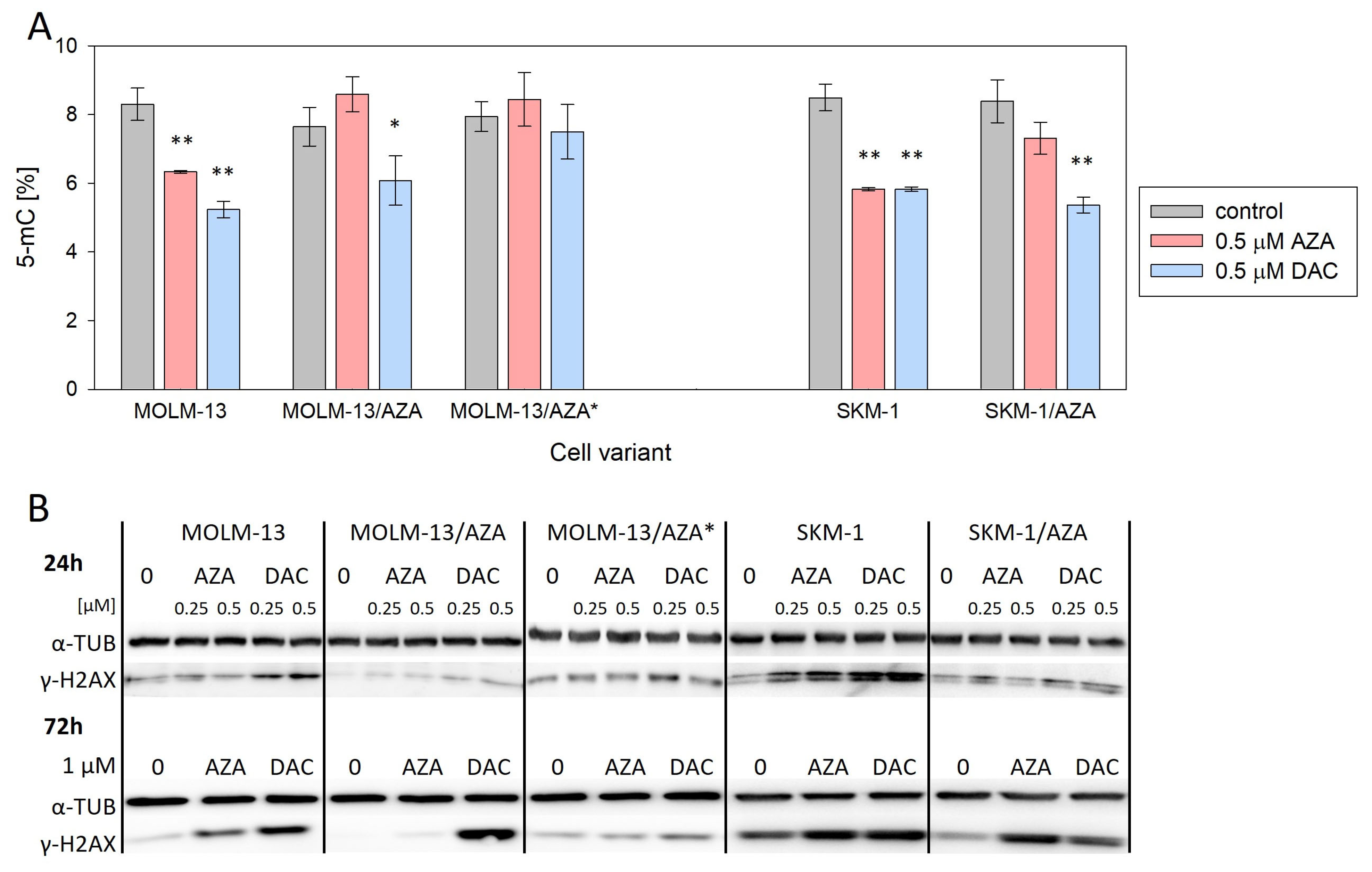 Cancers 15 03063 g003 Cancers 15 03063 g003
